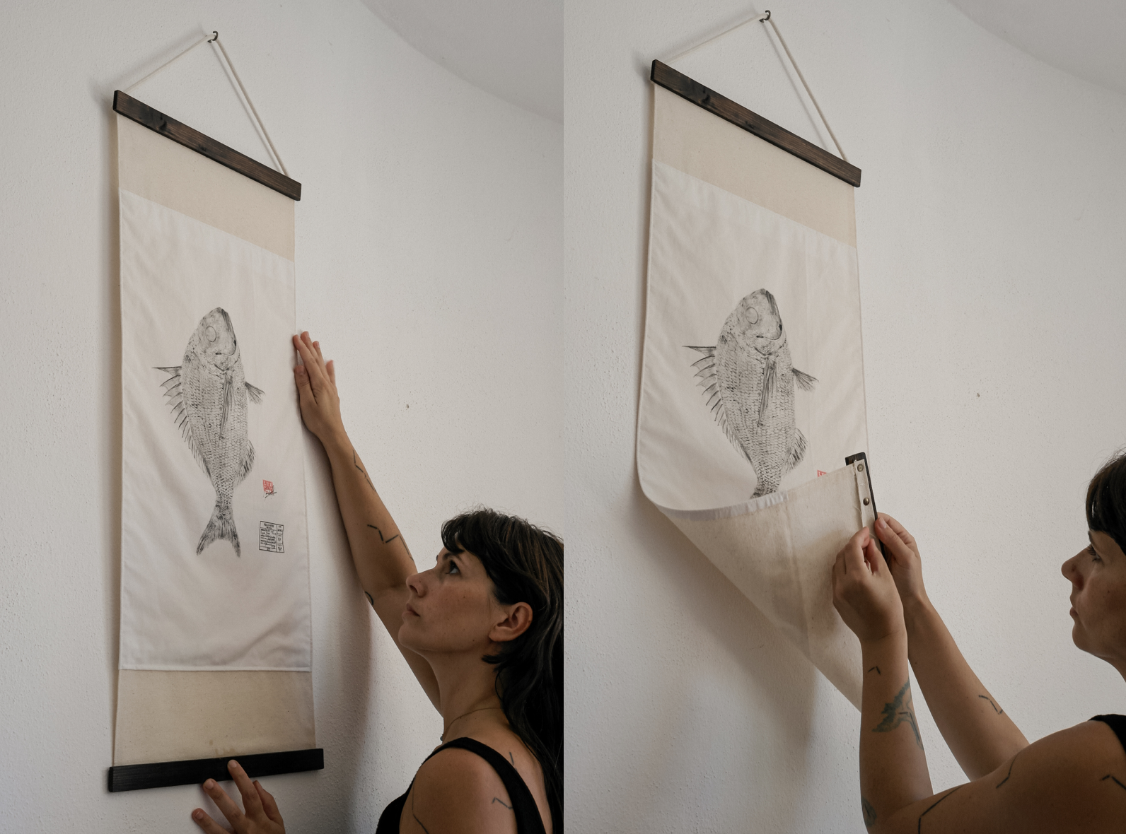 Pargo | Pagrus Pagrus