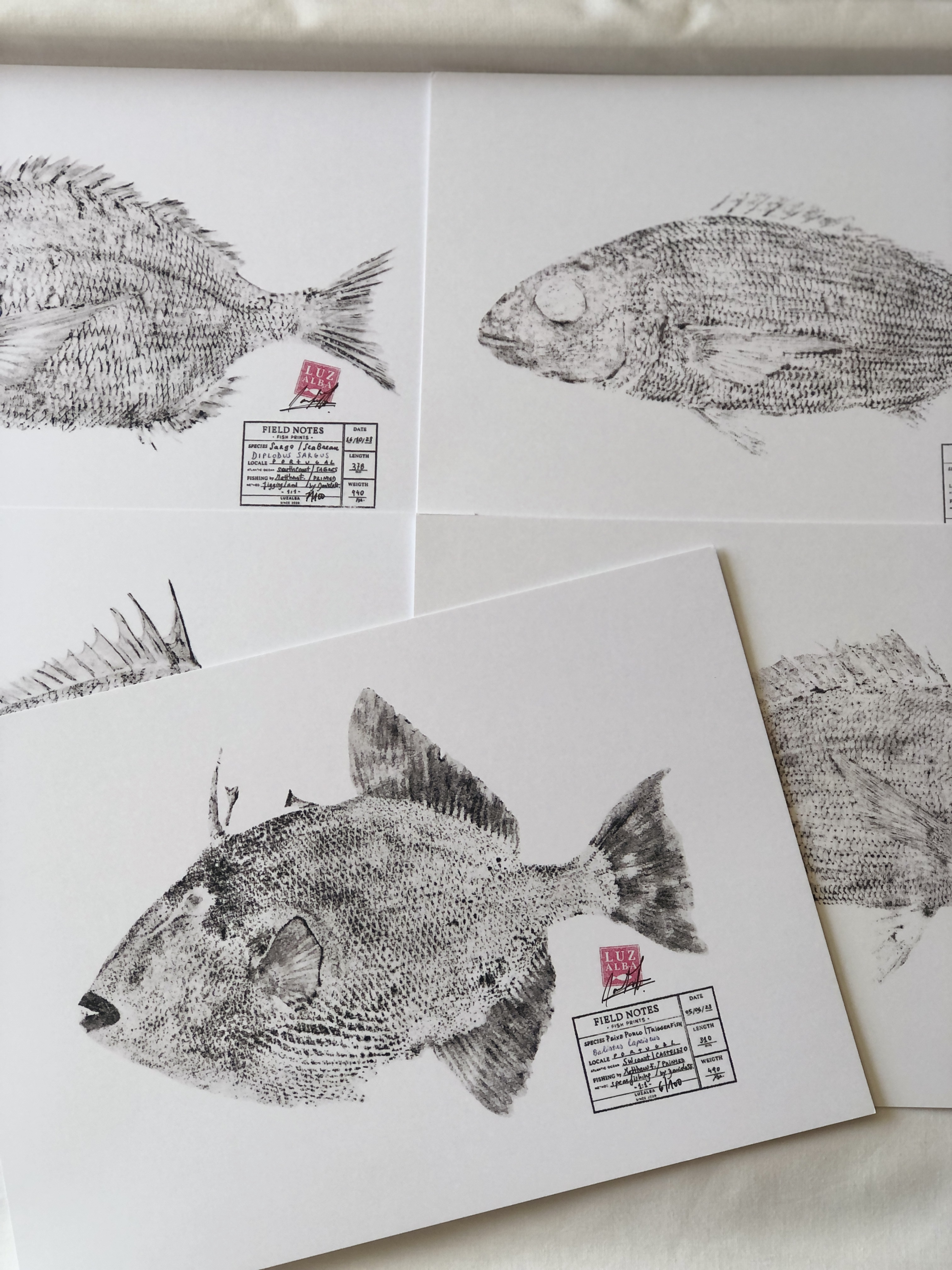 Traditional Fish | E.26