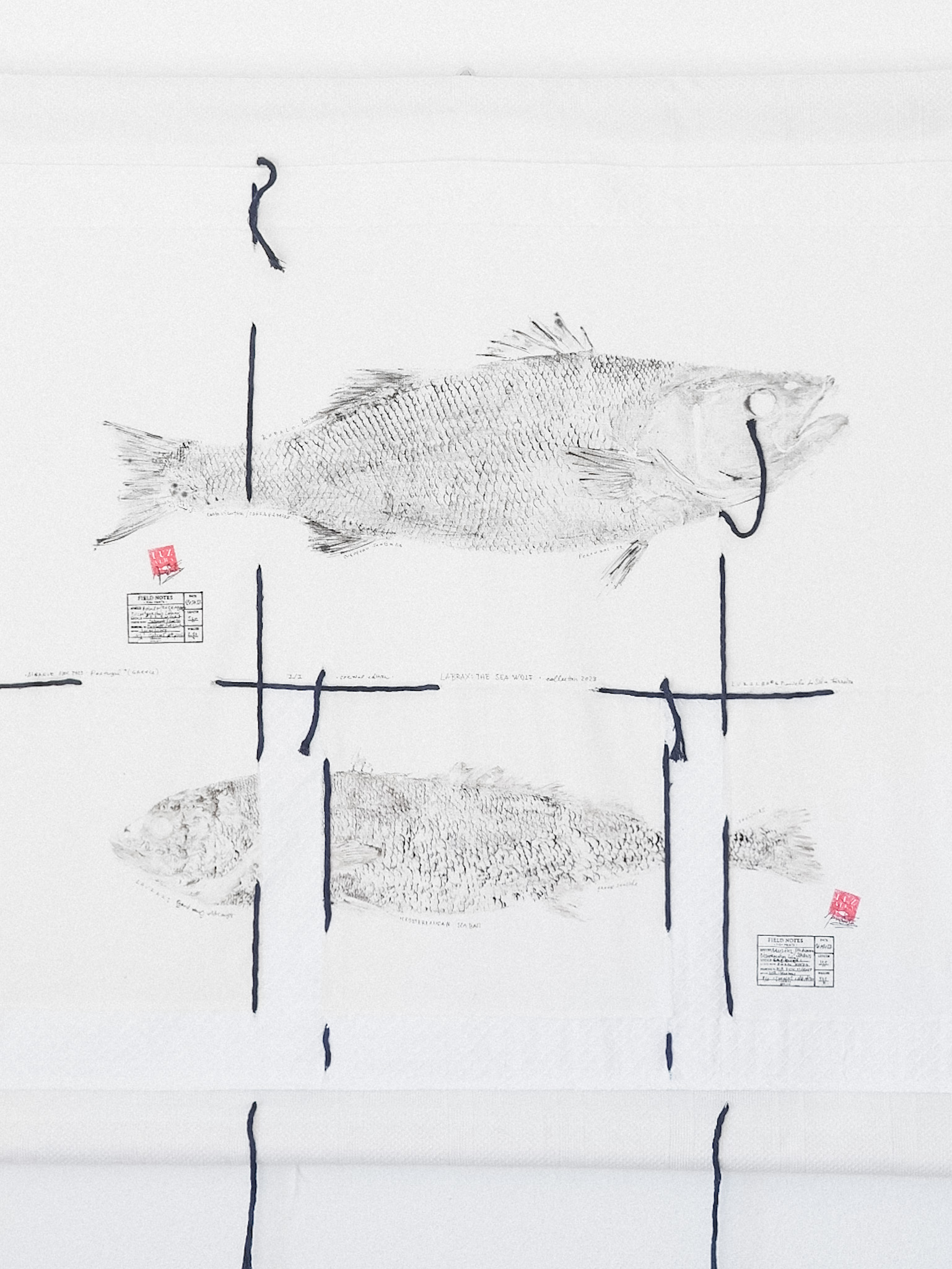 Labrax: the sea wolf