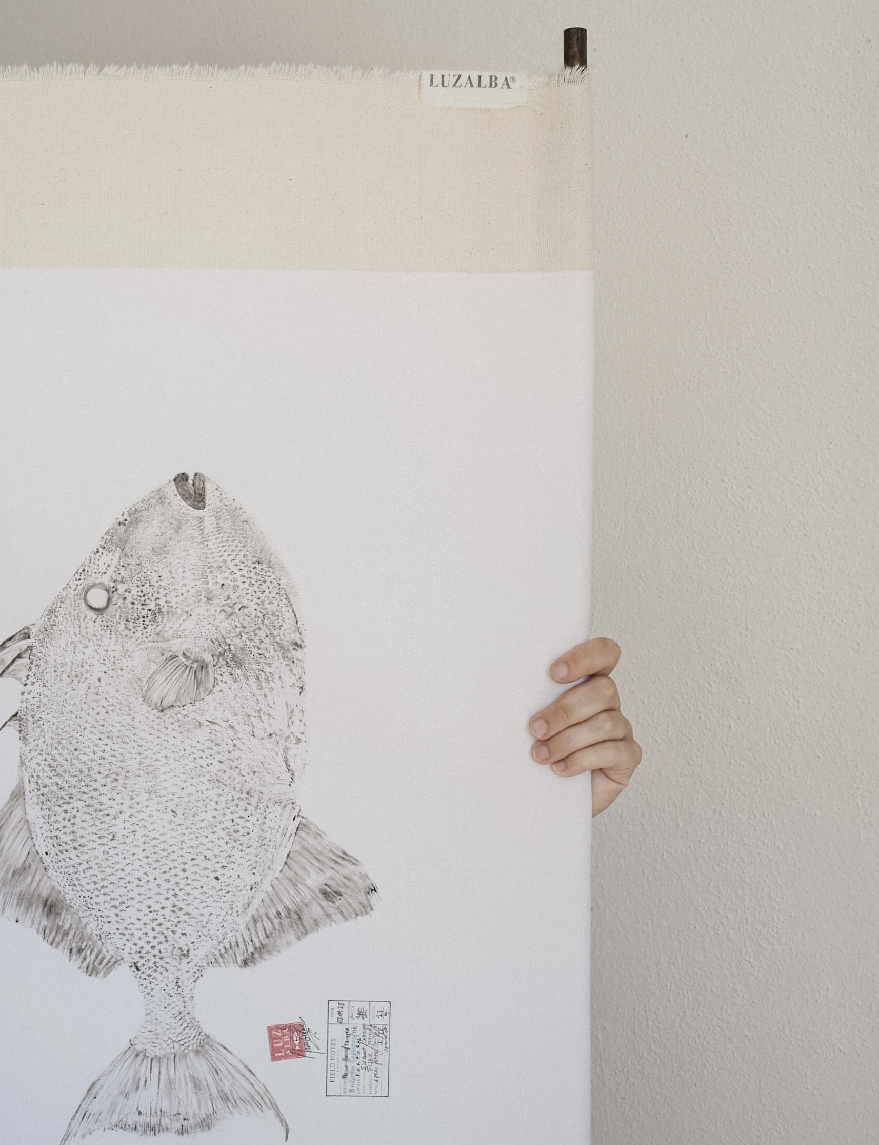 Peixe-p. *L. | Triggerfish