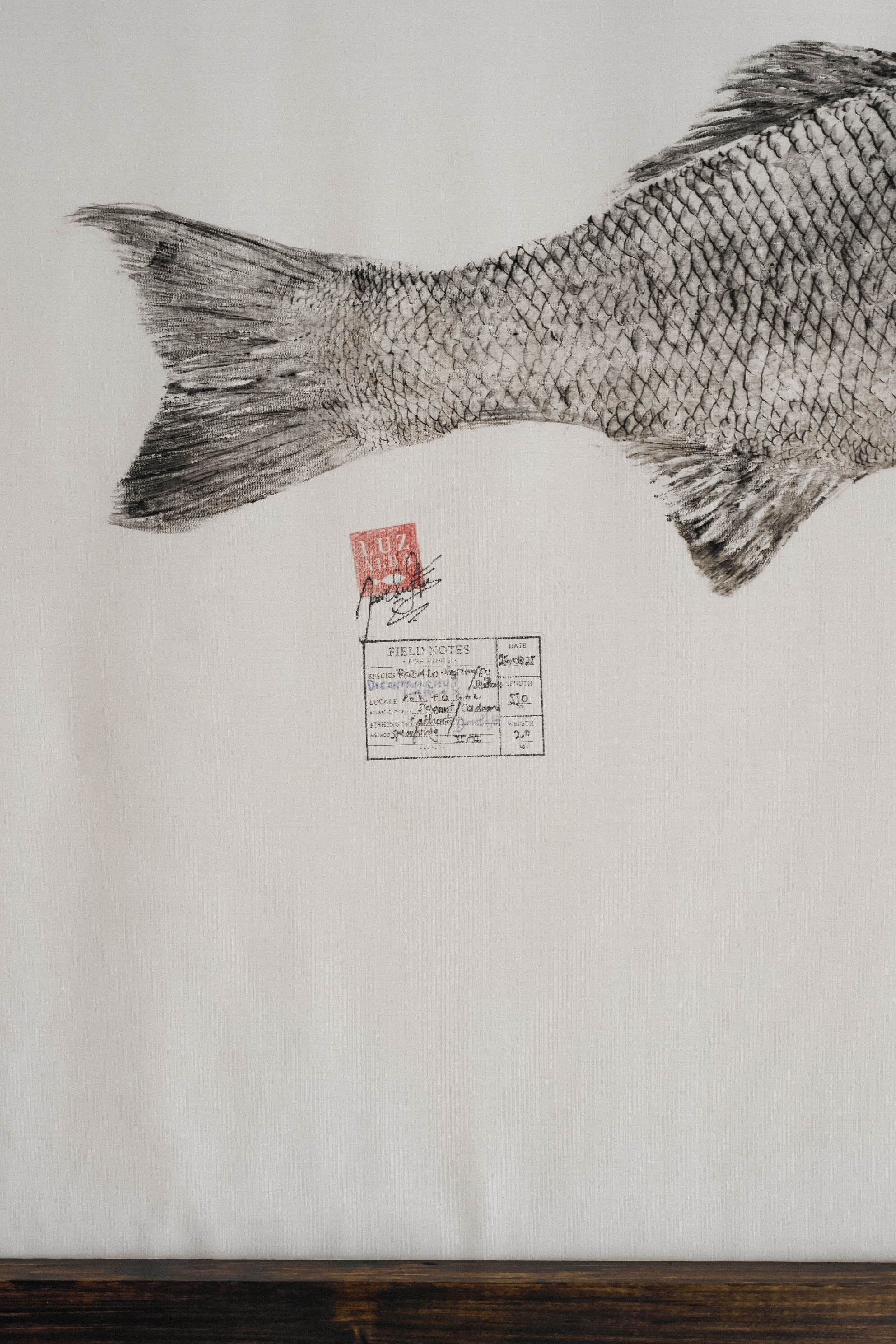 Robalo *L. | Seabass