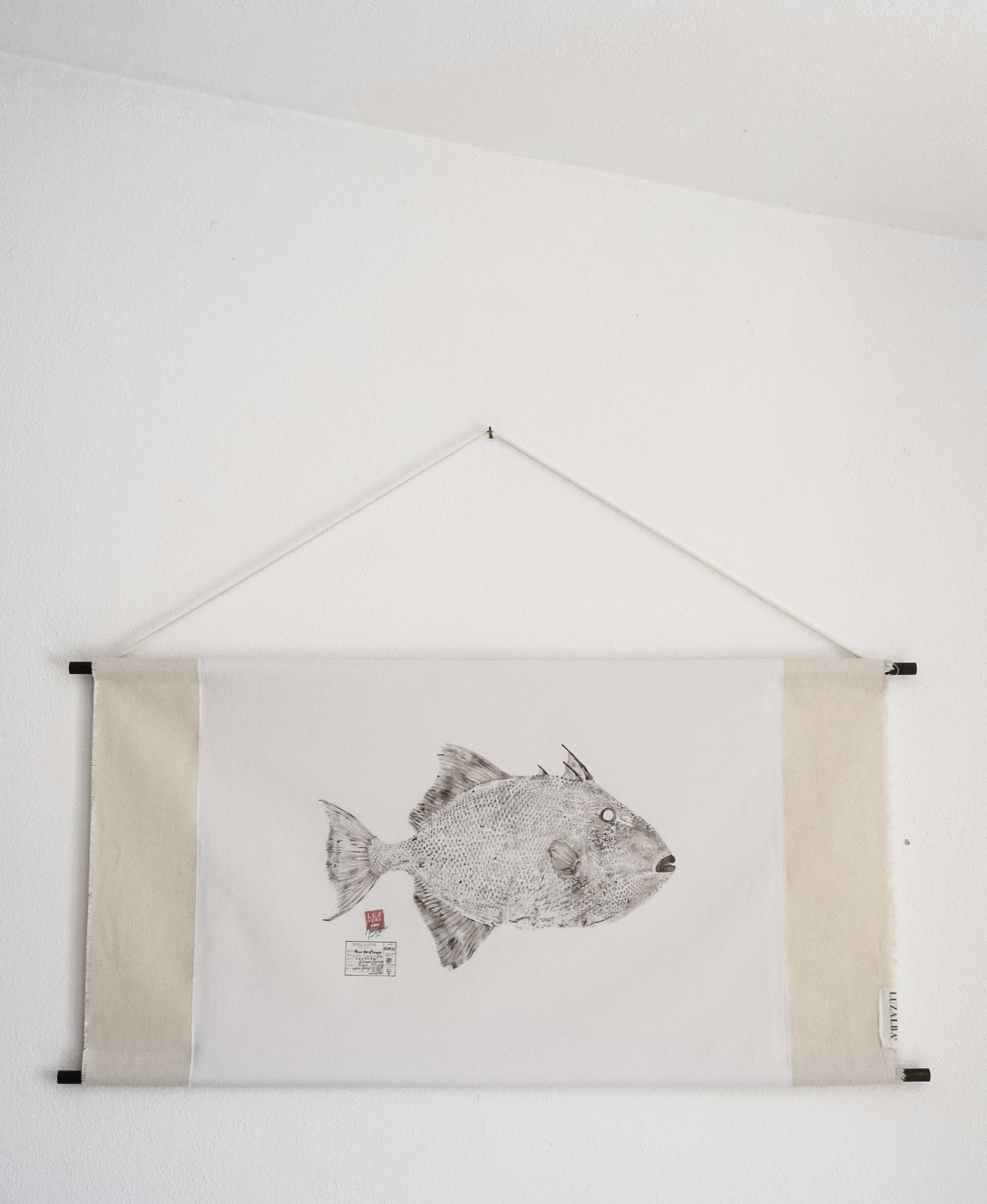 Peixe-p. *L. | Triggerfish