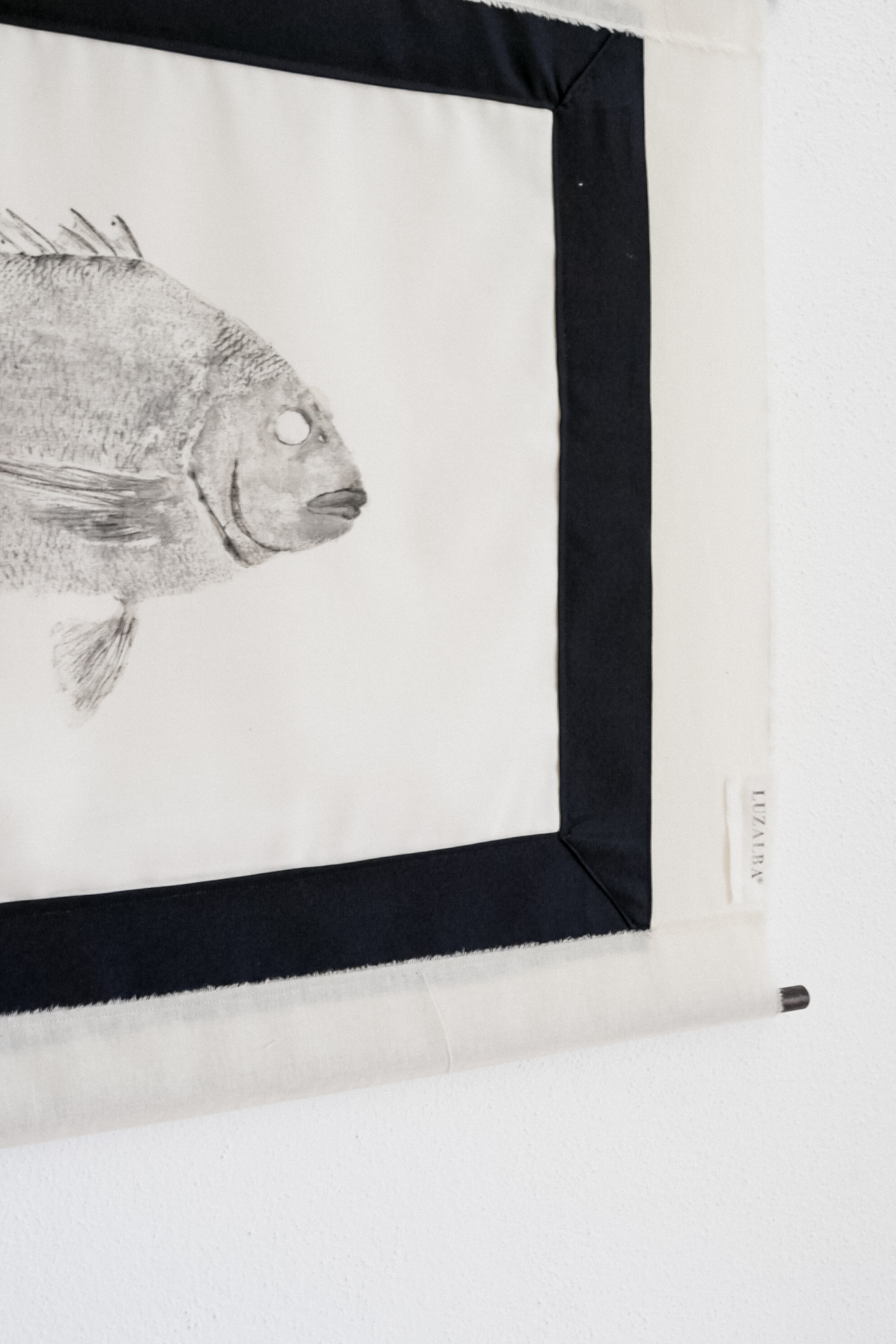 Sargo *L. | Seabream