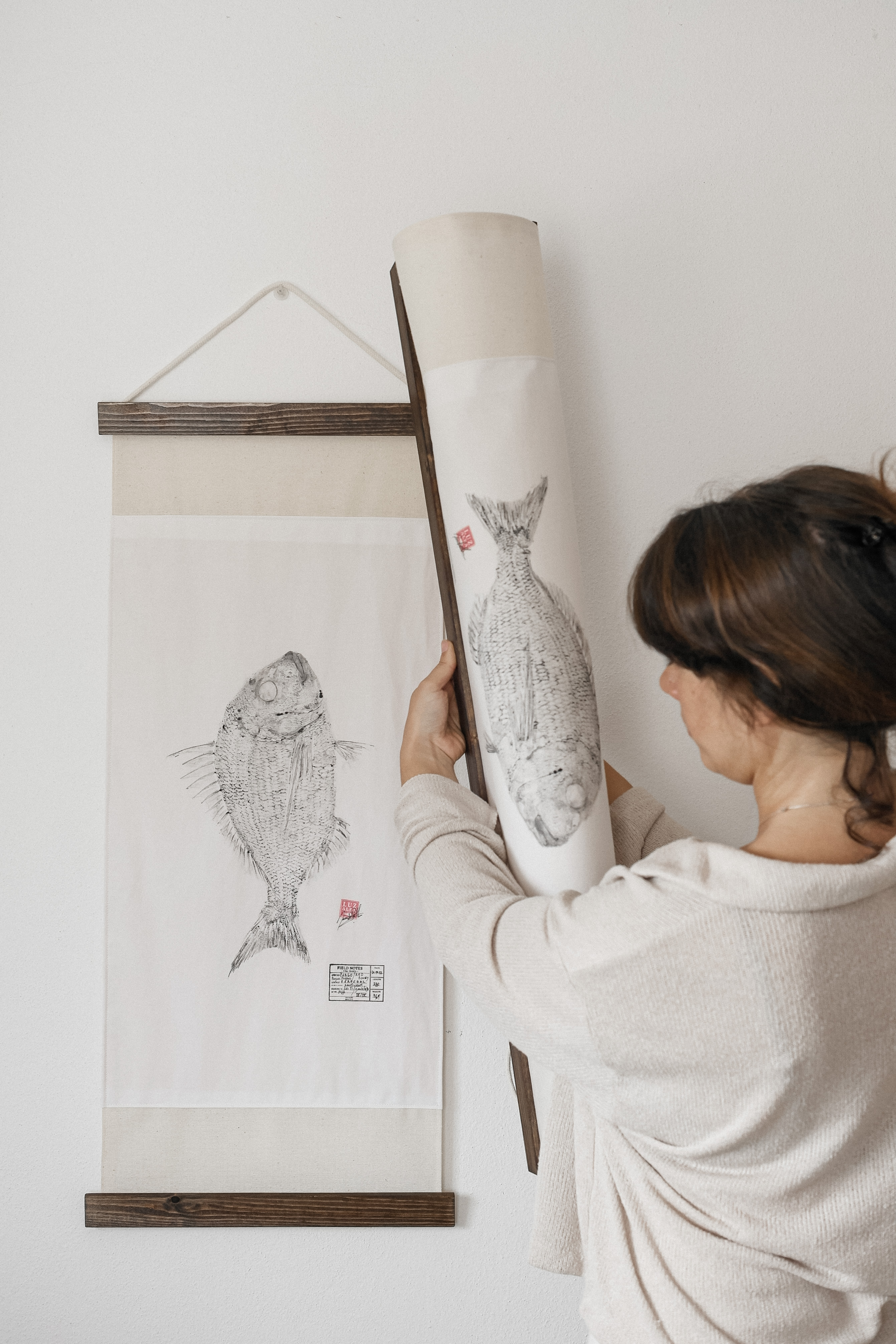 Pargo | Pagrus Pagrus