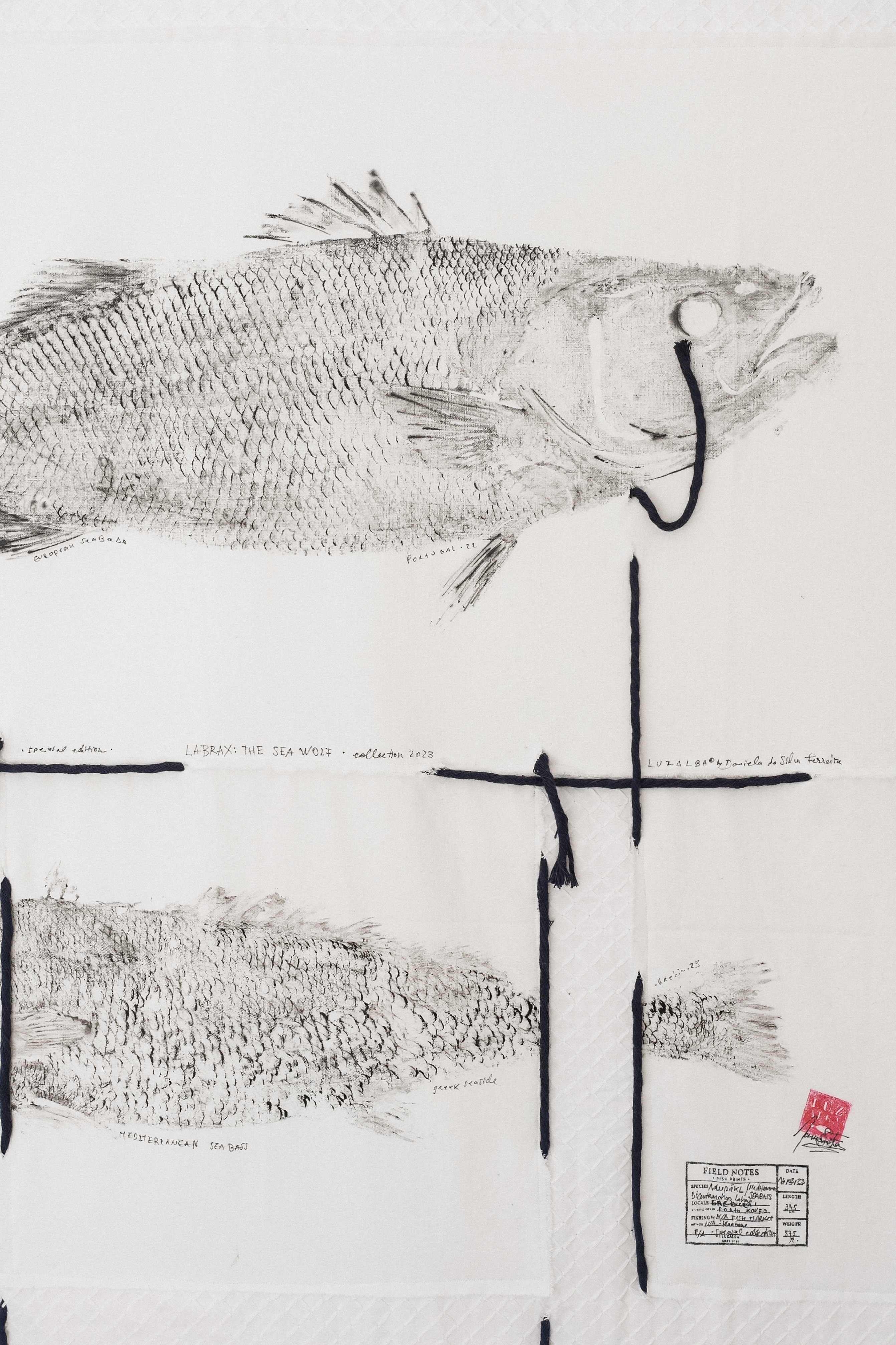 Labrax: the sea wolf