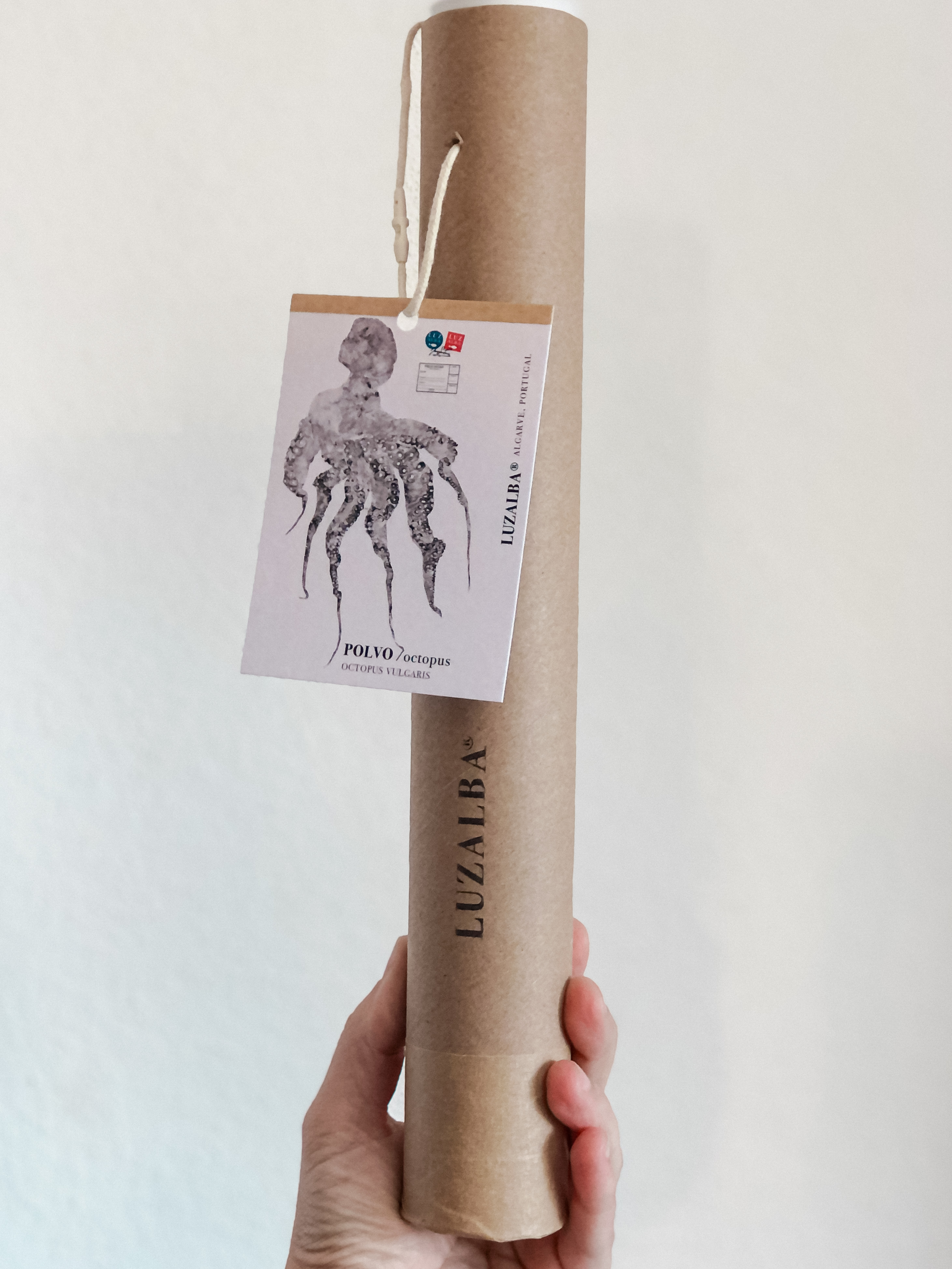 Paper Fish *A3 | E.26