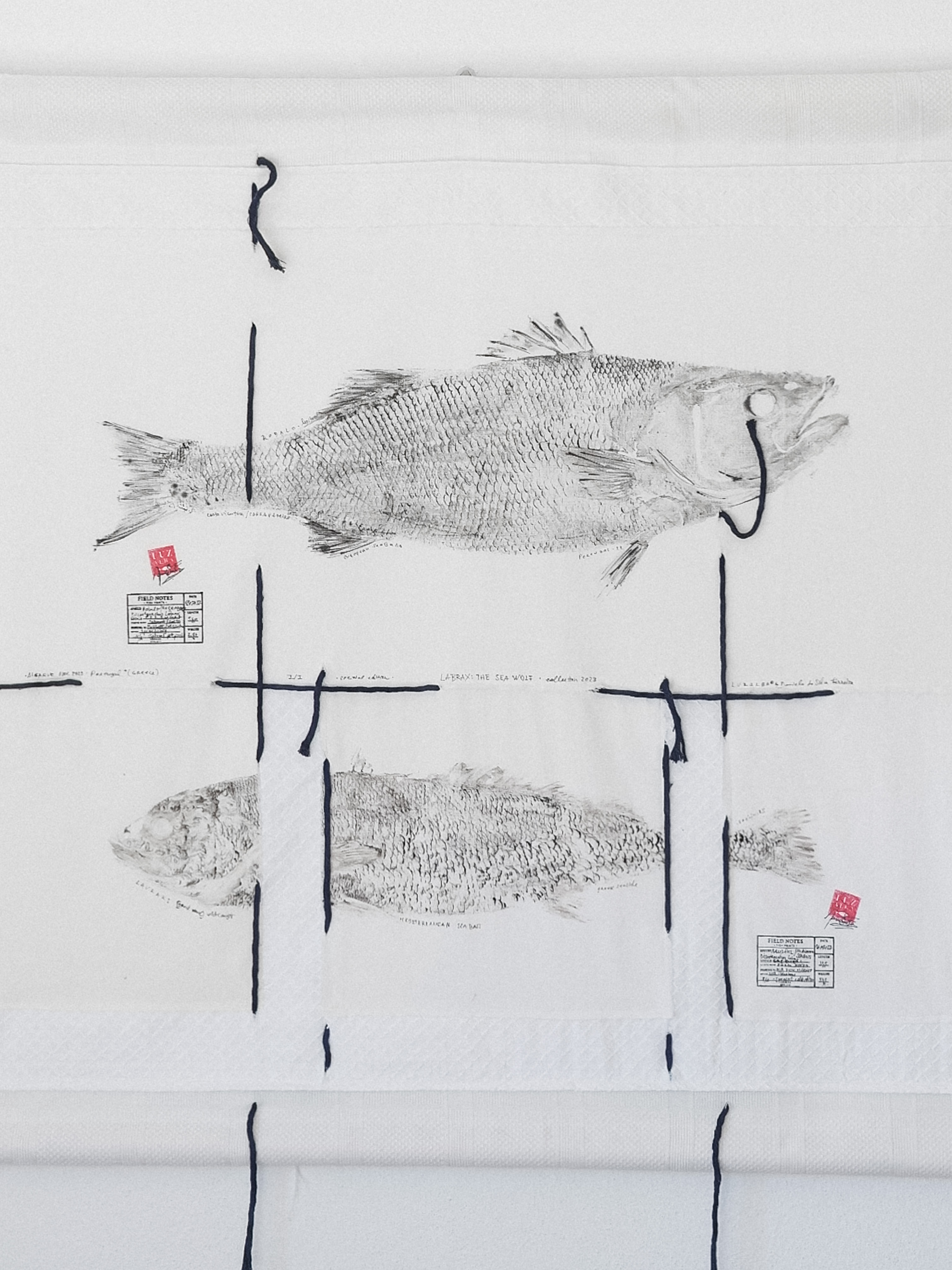 Labrax: the sea wolf