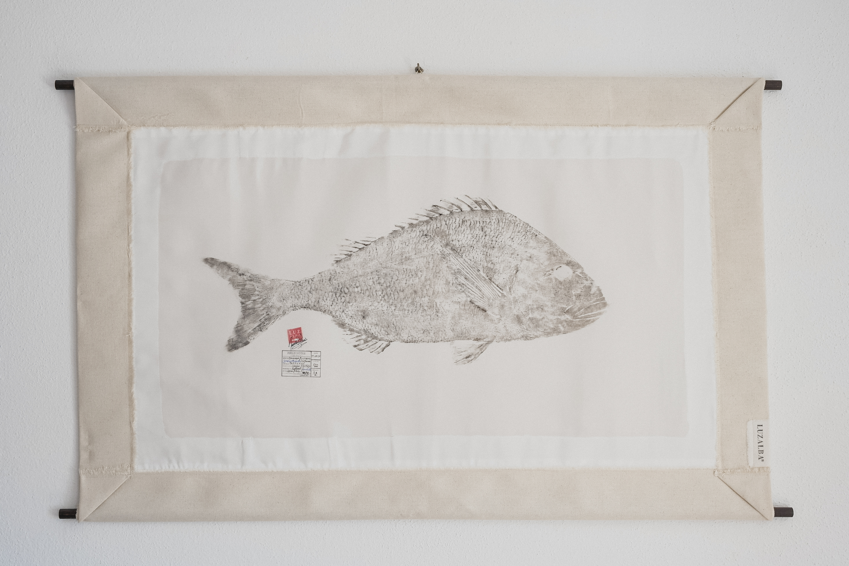 Dourada *L.| G. Seabream