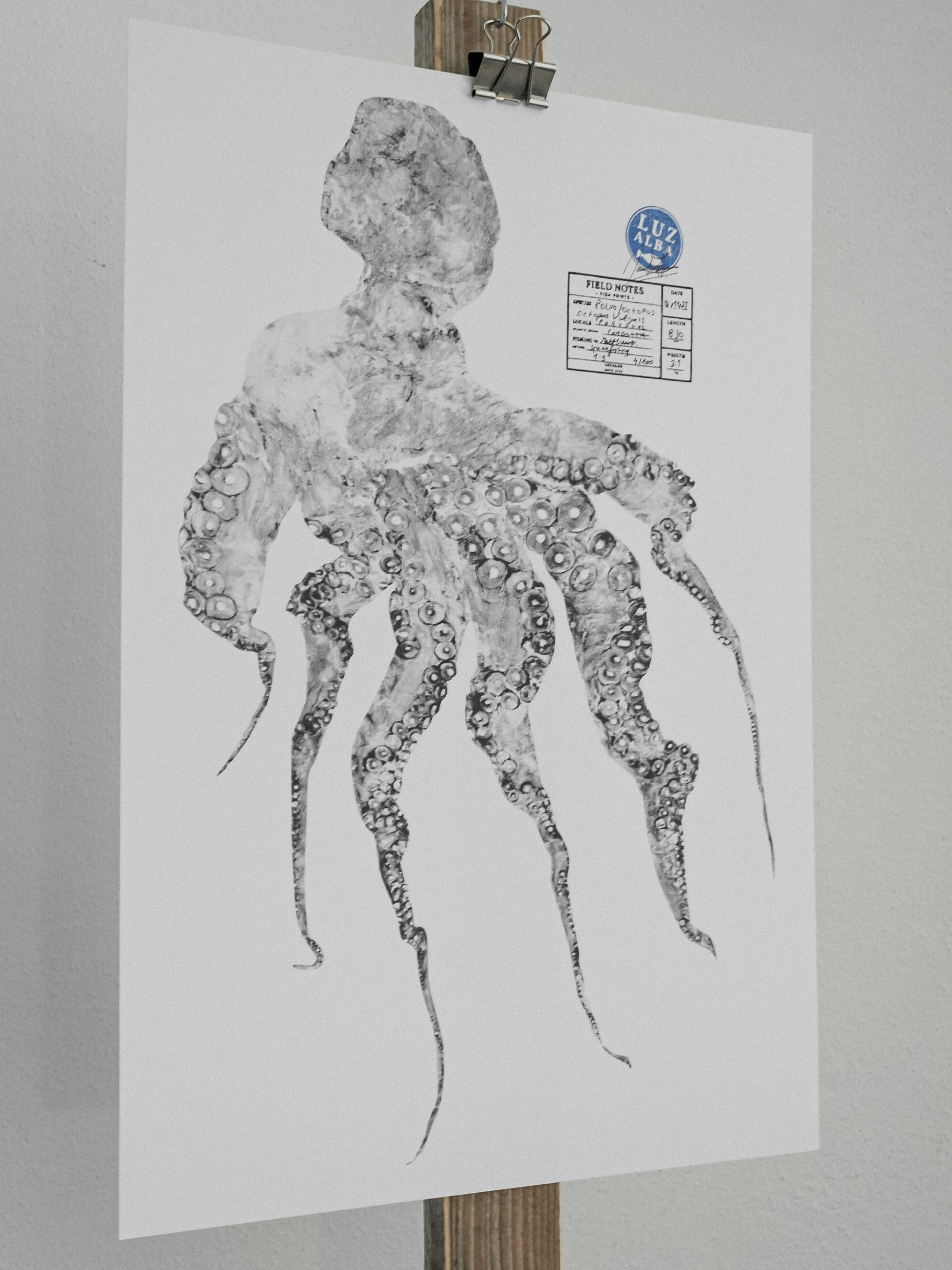 Paper Fish *A3 | E.26