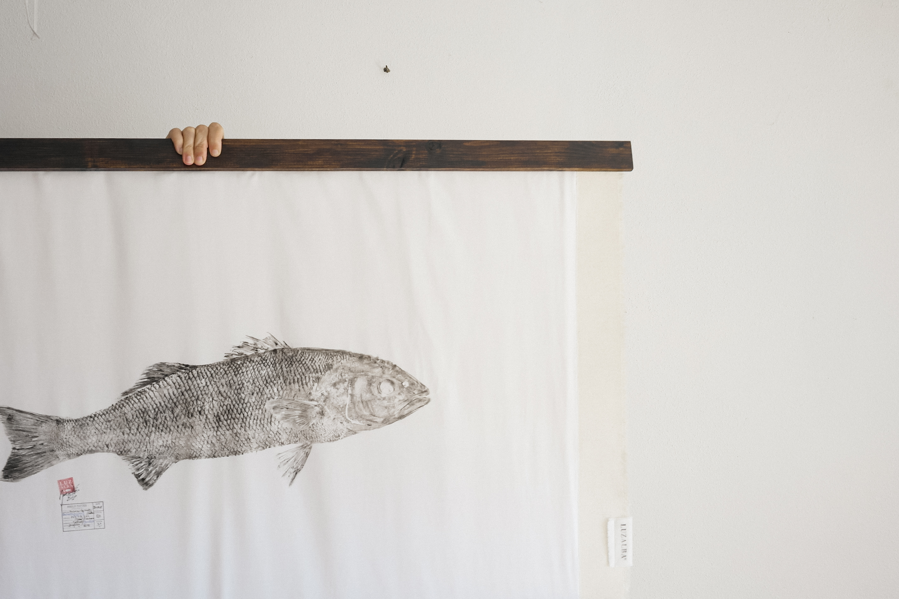 Robalo *L. | Seabass