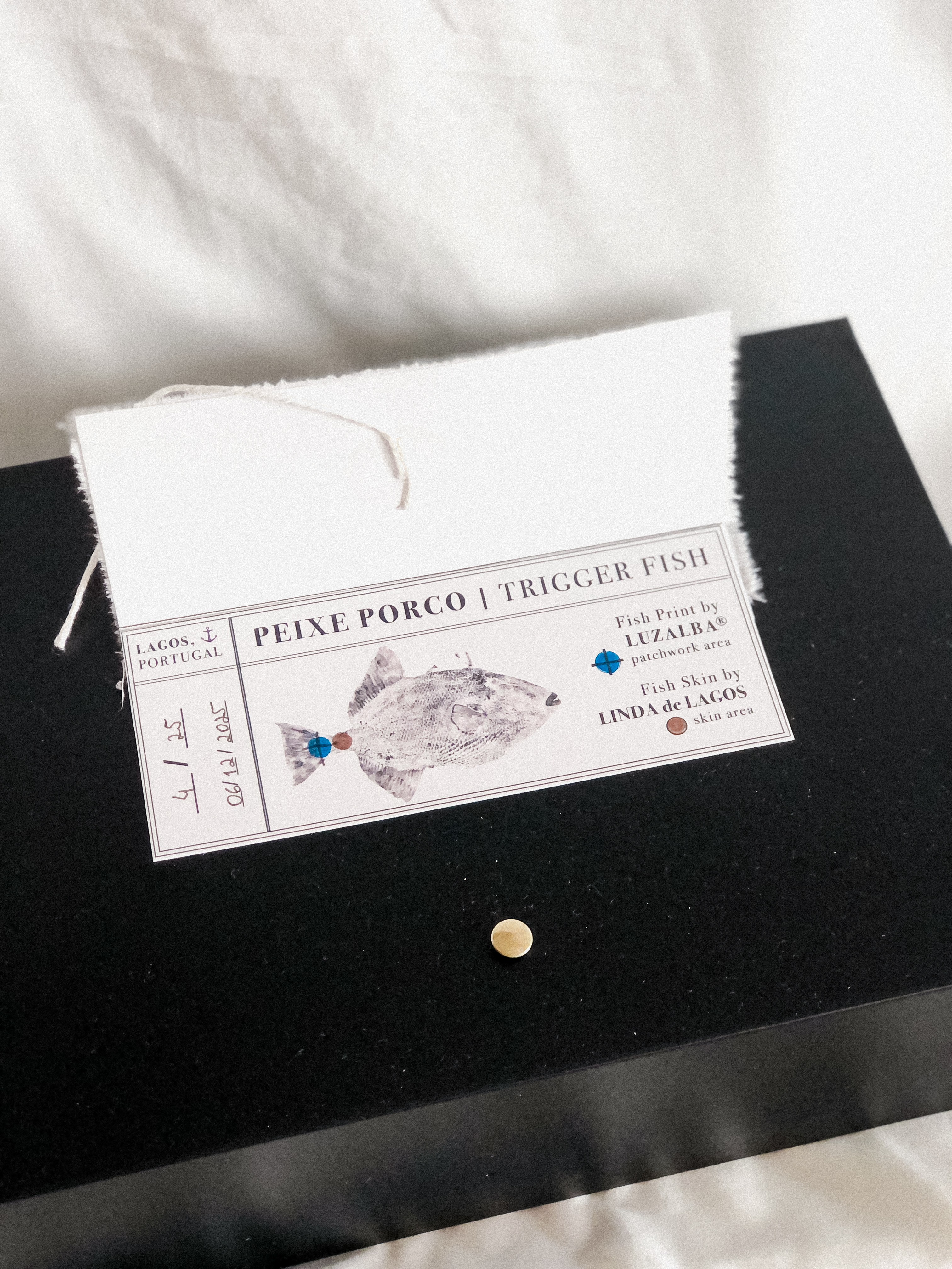 LindadeLagos & Luzalba