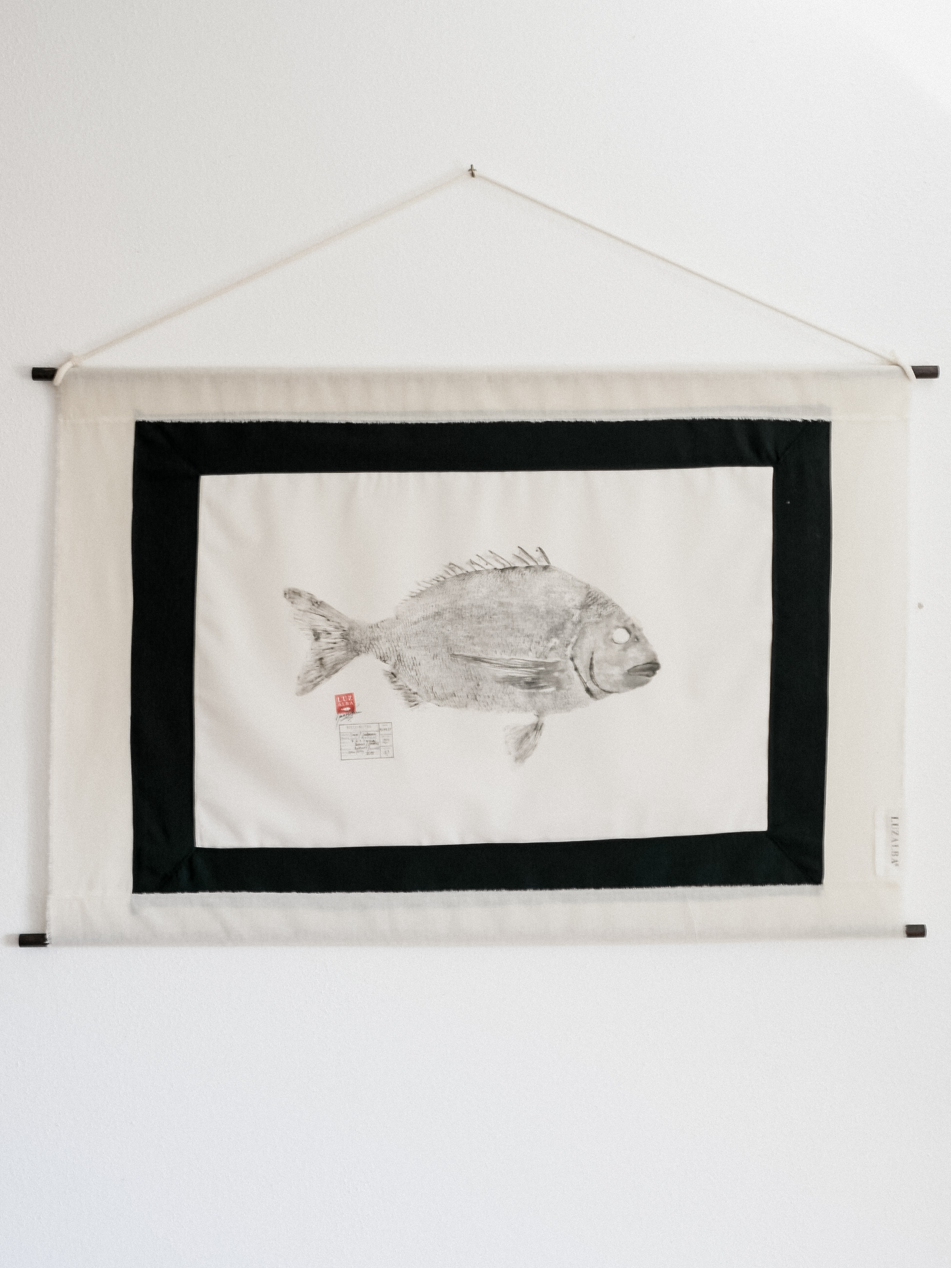 Sargo *L. | Seabream