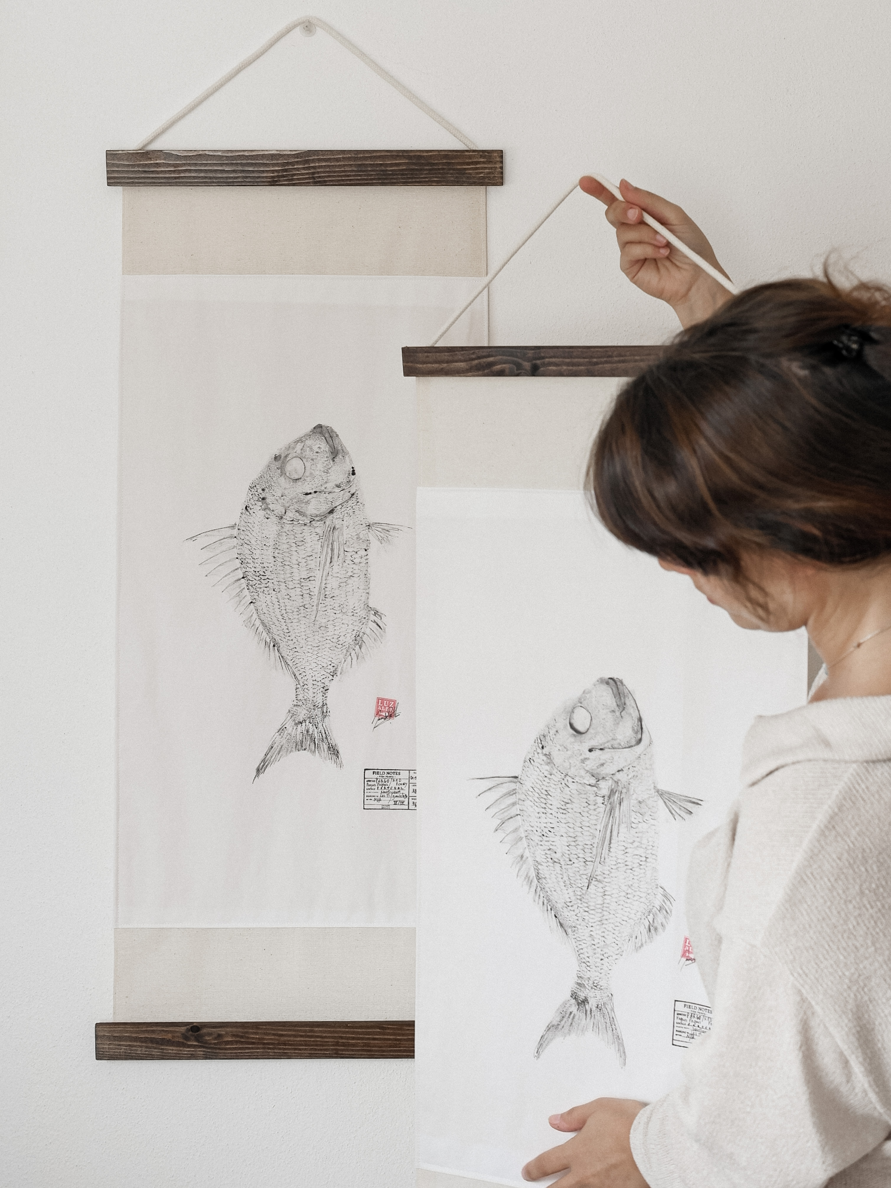 Pargo | Pagrus Pagrus