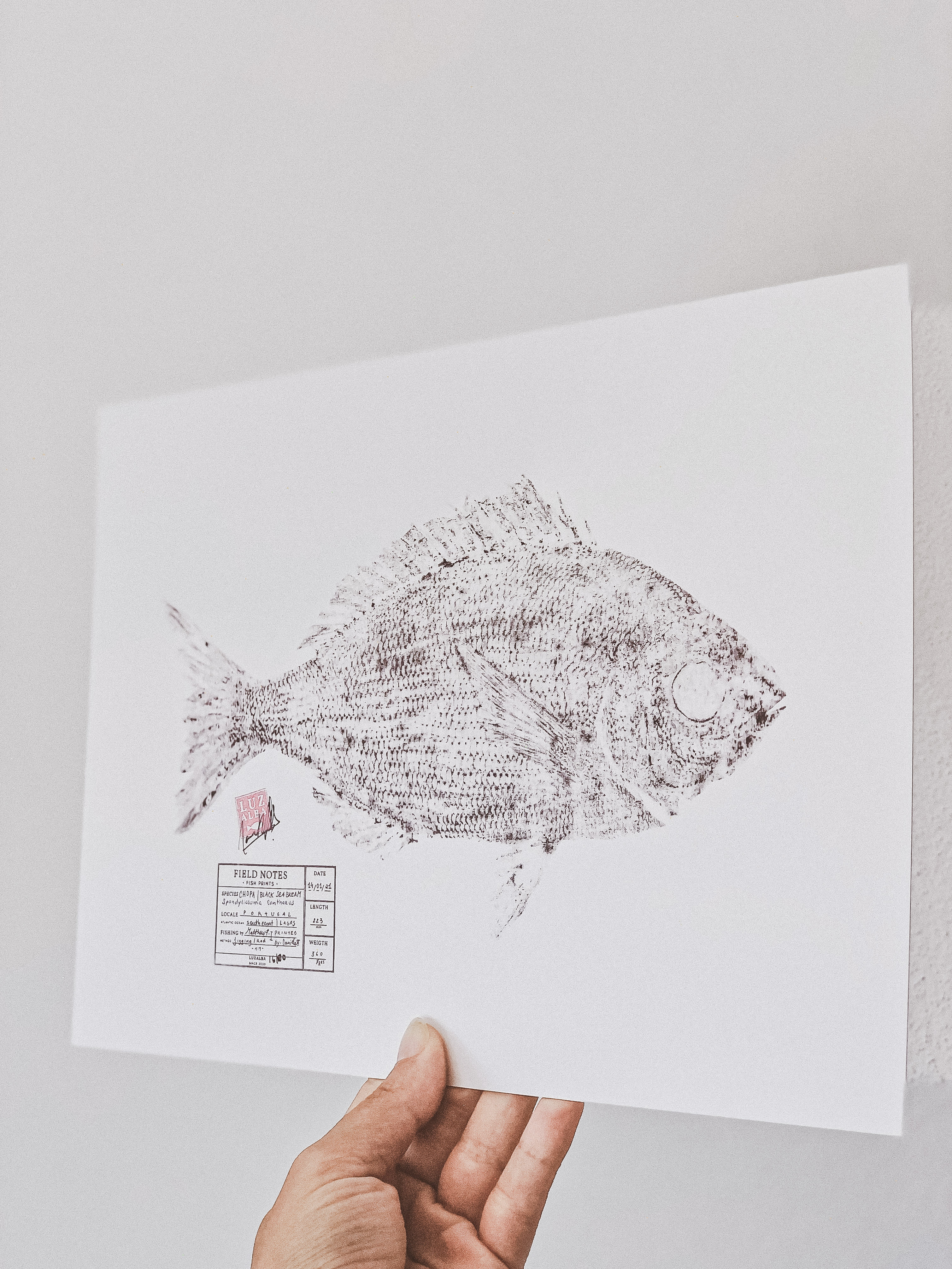 Traditional Fish | E.26