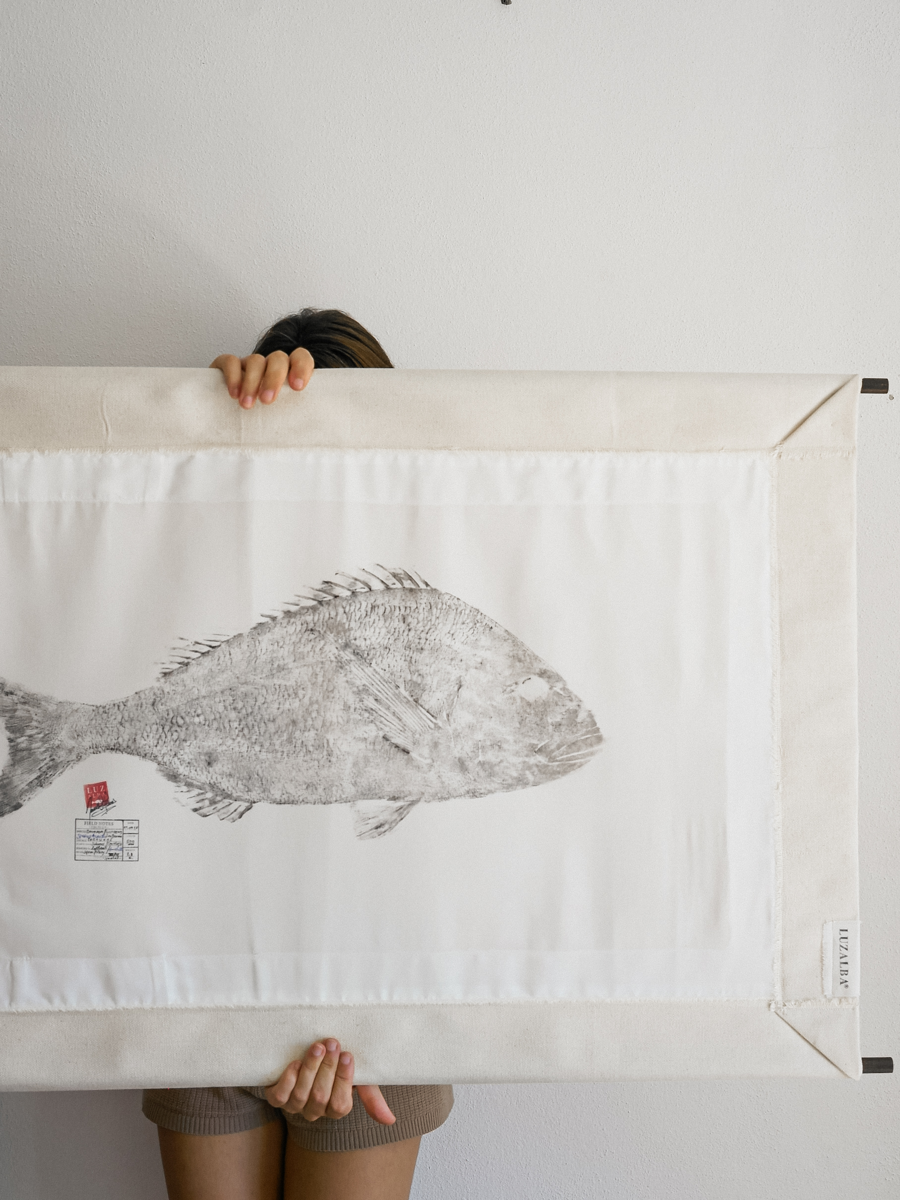 Dourada *L.| G. Seabream