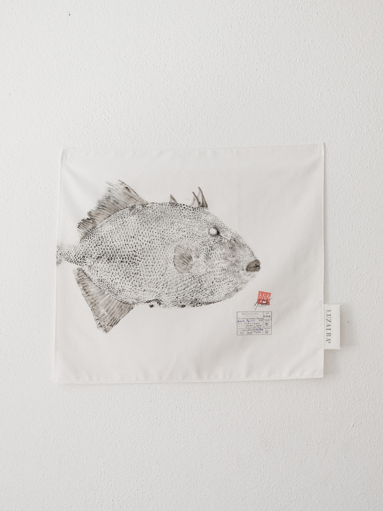 Peixe-porco | Triggerfish