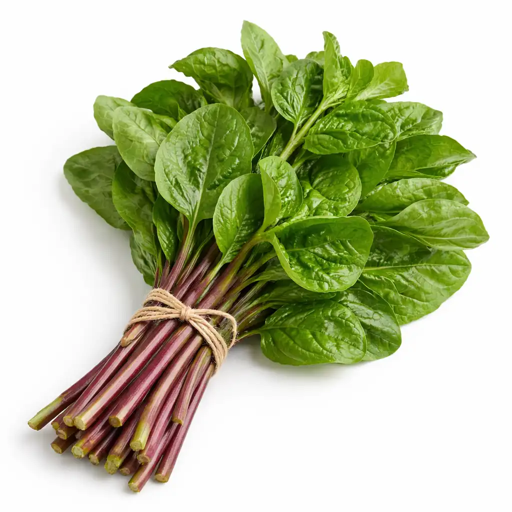 Malabar Spinach - பசளிக்கீரை