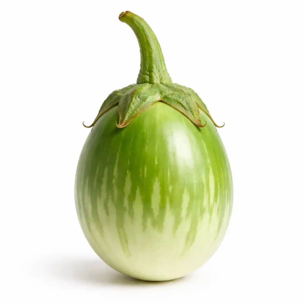 Indian Green Egg Plant - இந்திய பச்சை கத்தரிக்காய்
