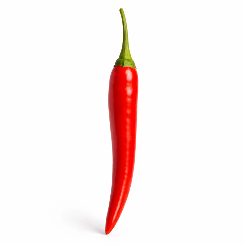 Thai Chilli - தாய் மிளகாய்