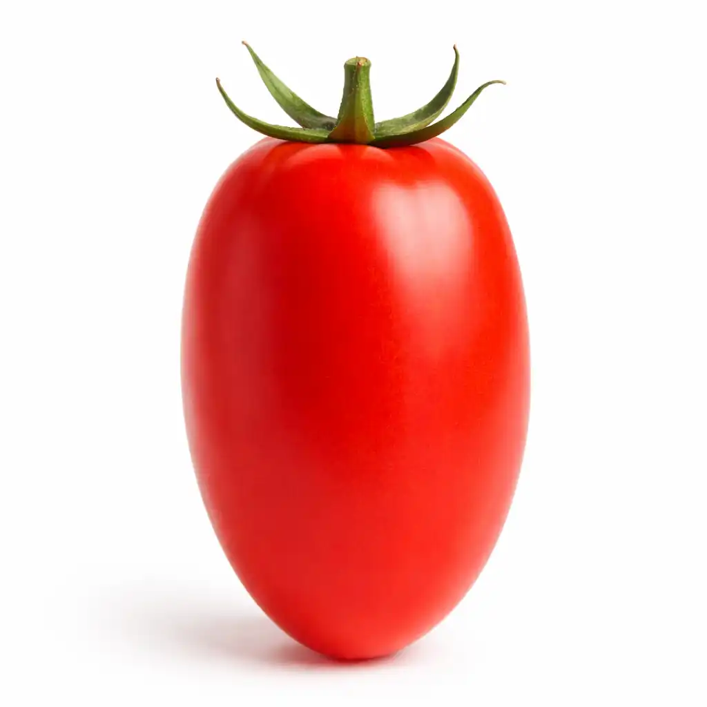 Roma Tomato - ரோமா தக்காளி