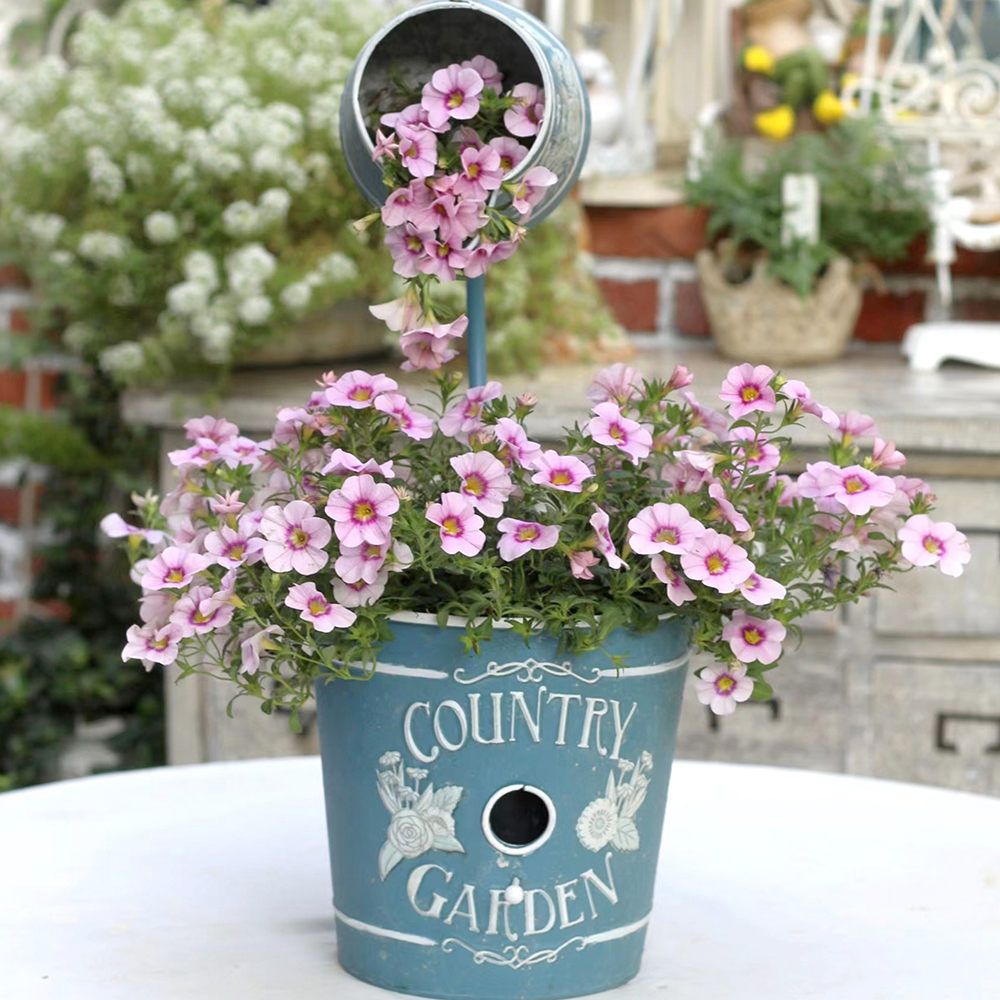 Cachepô com Regador Vintage