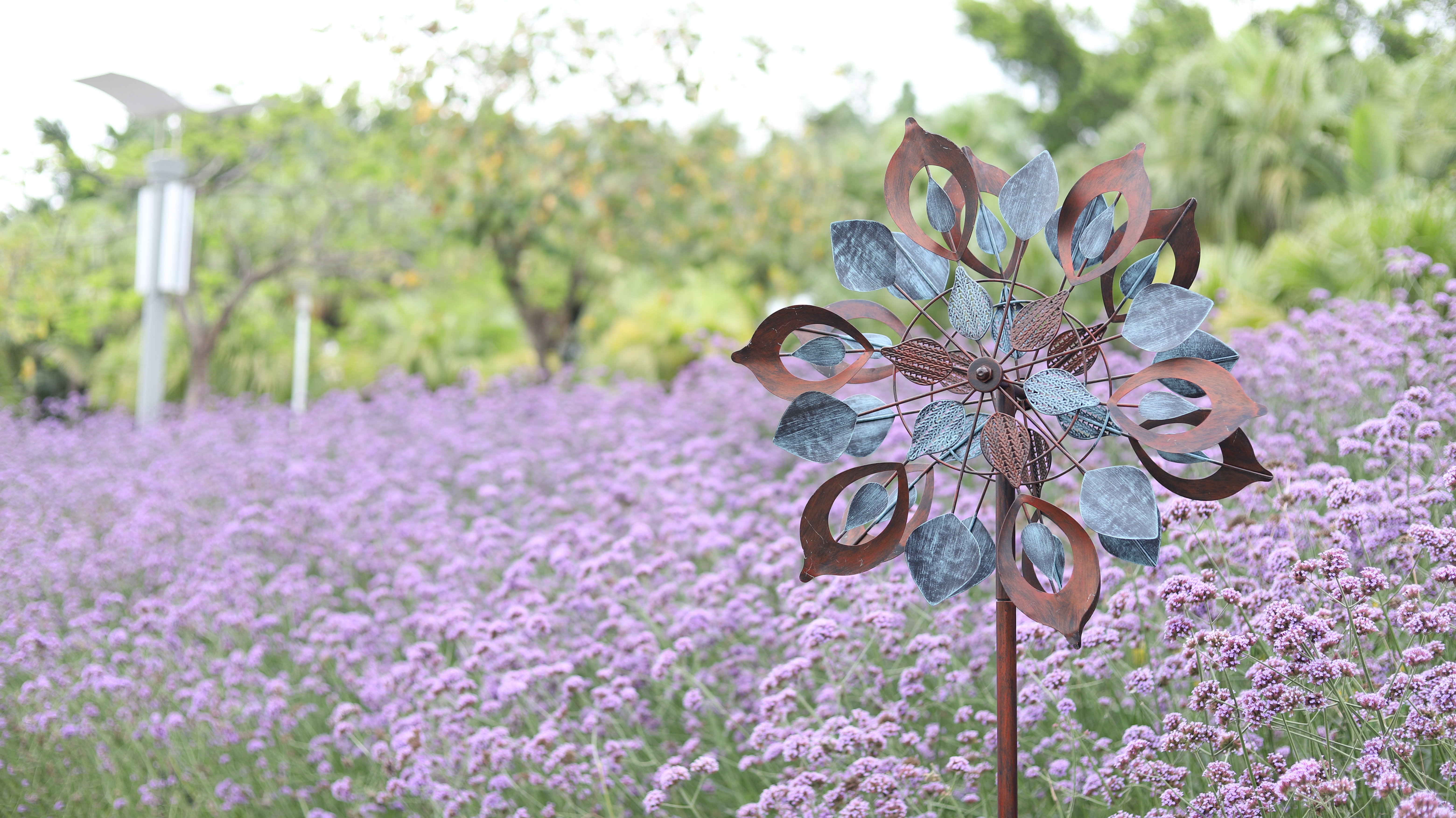 Cata-vento Flor Íris