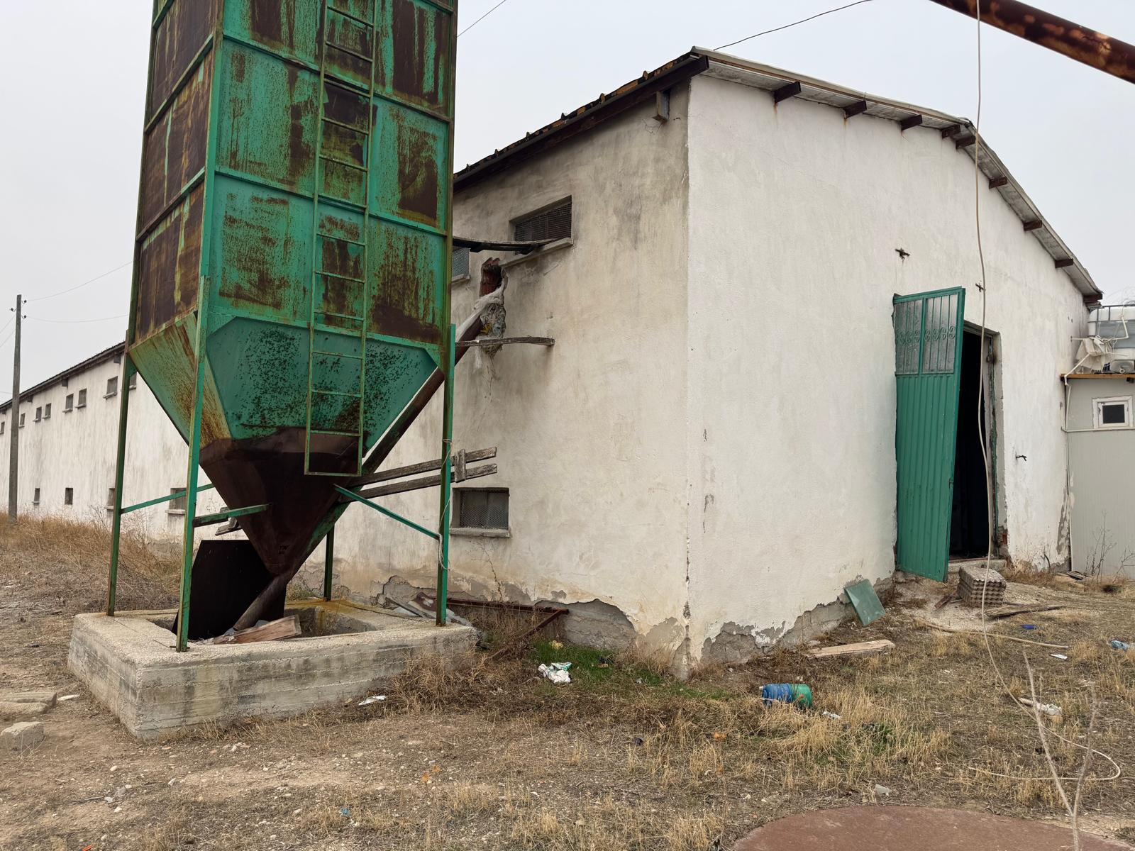 YUMURTA ÇİFTLİĞİ 