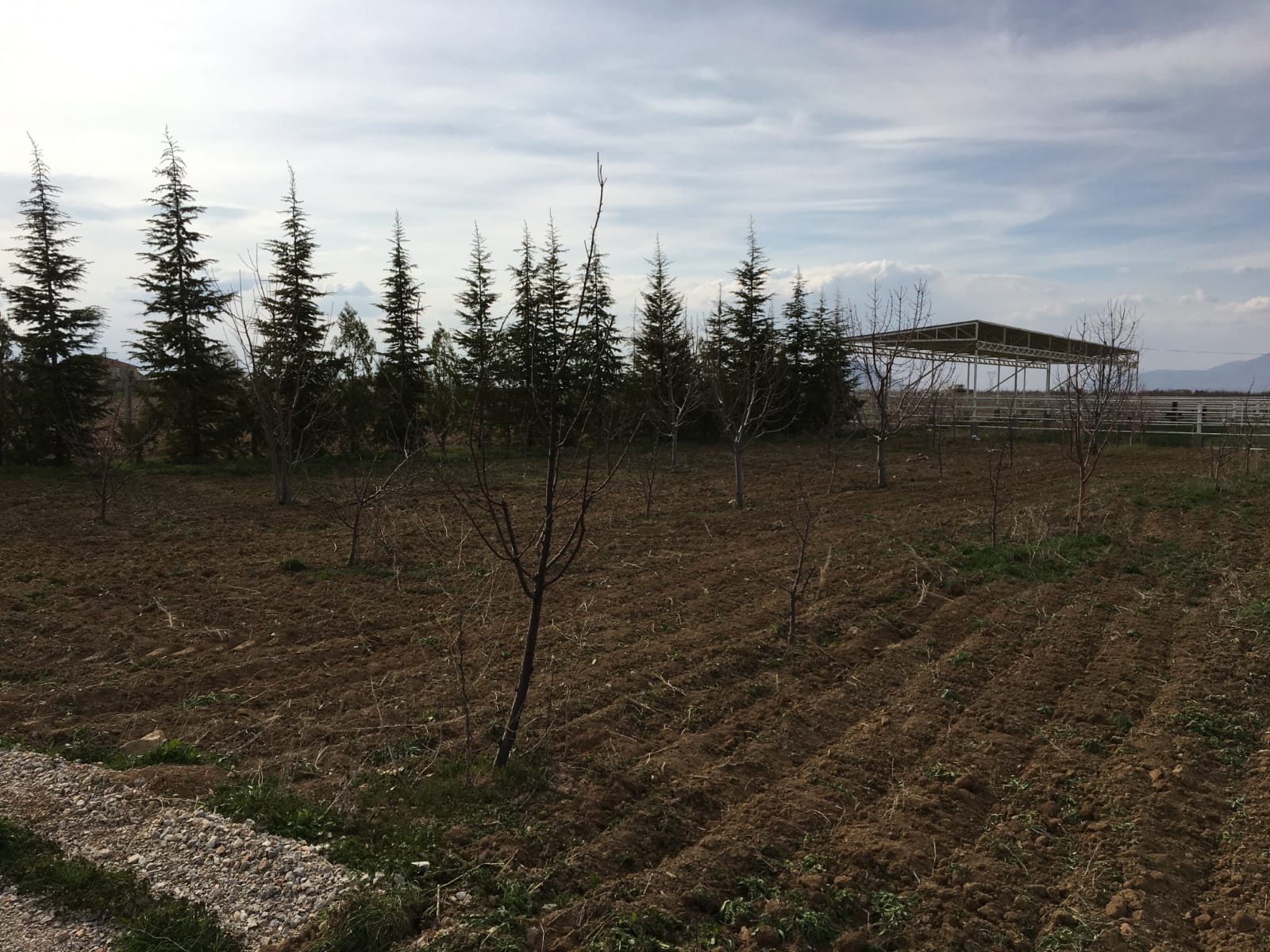 SATILIK FIRSAT ÇİFTLİK