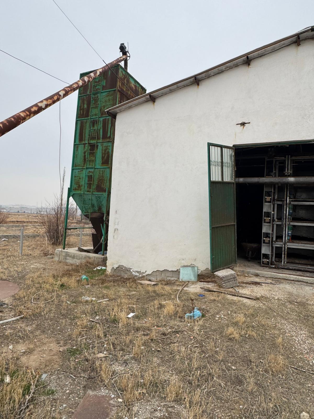 YUMURTA ÇİFTLİĞİ 