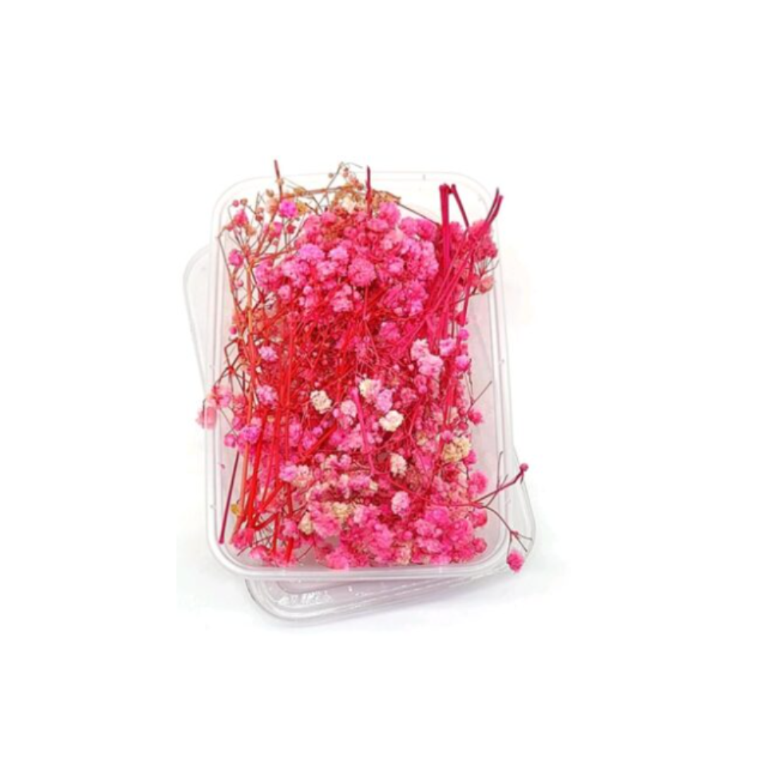 Dry Flower Box VC032