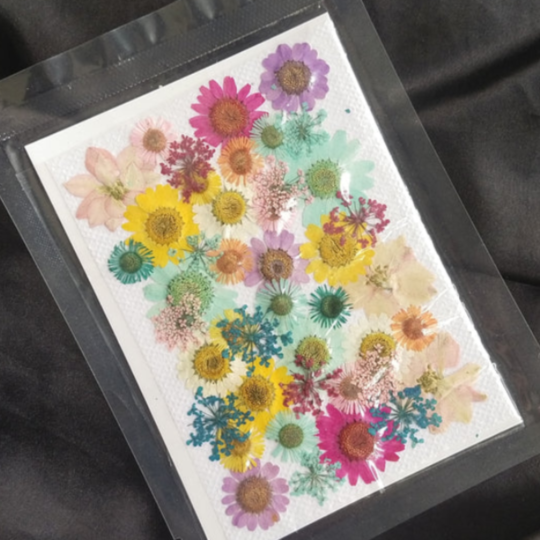 Dry Flower Sheet Mix