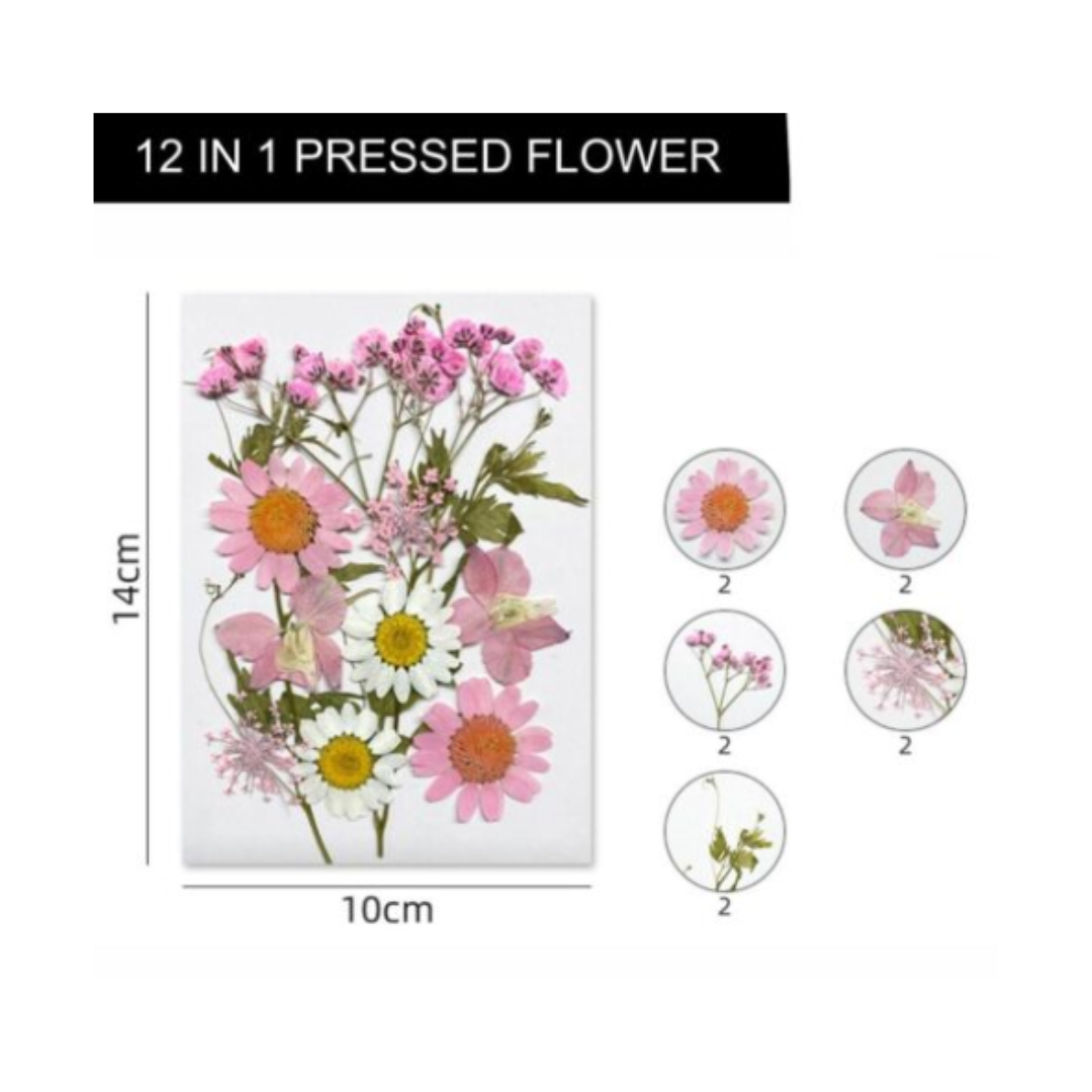 Dry Flower Sheet (VCFL174)