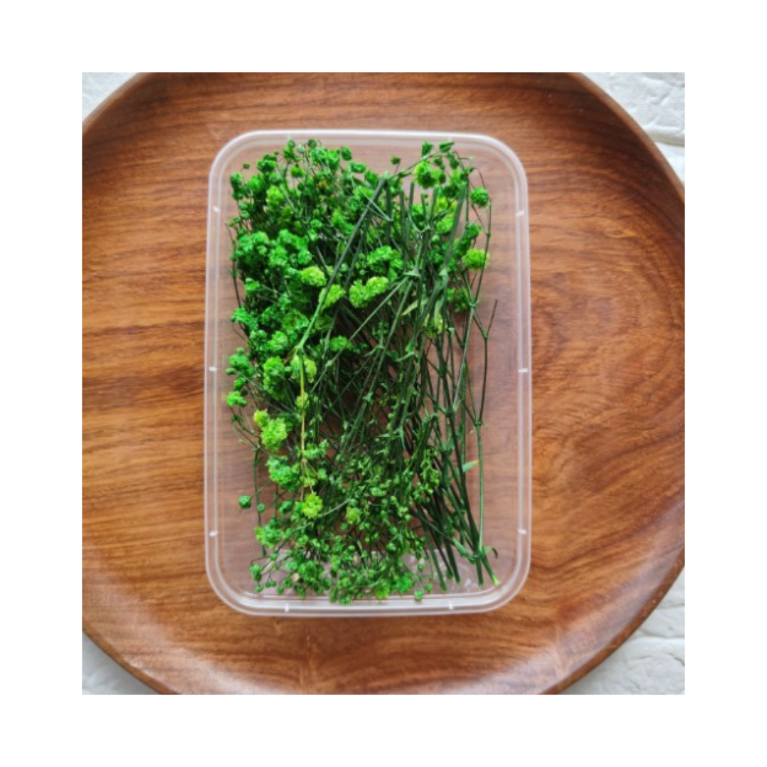 Dry Flower Box VC027