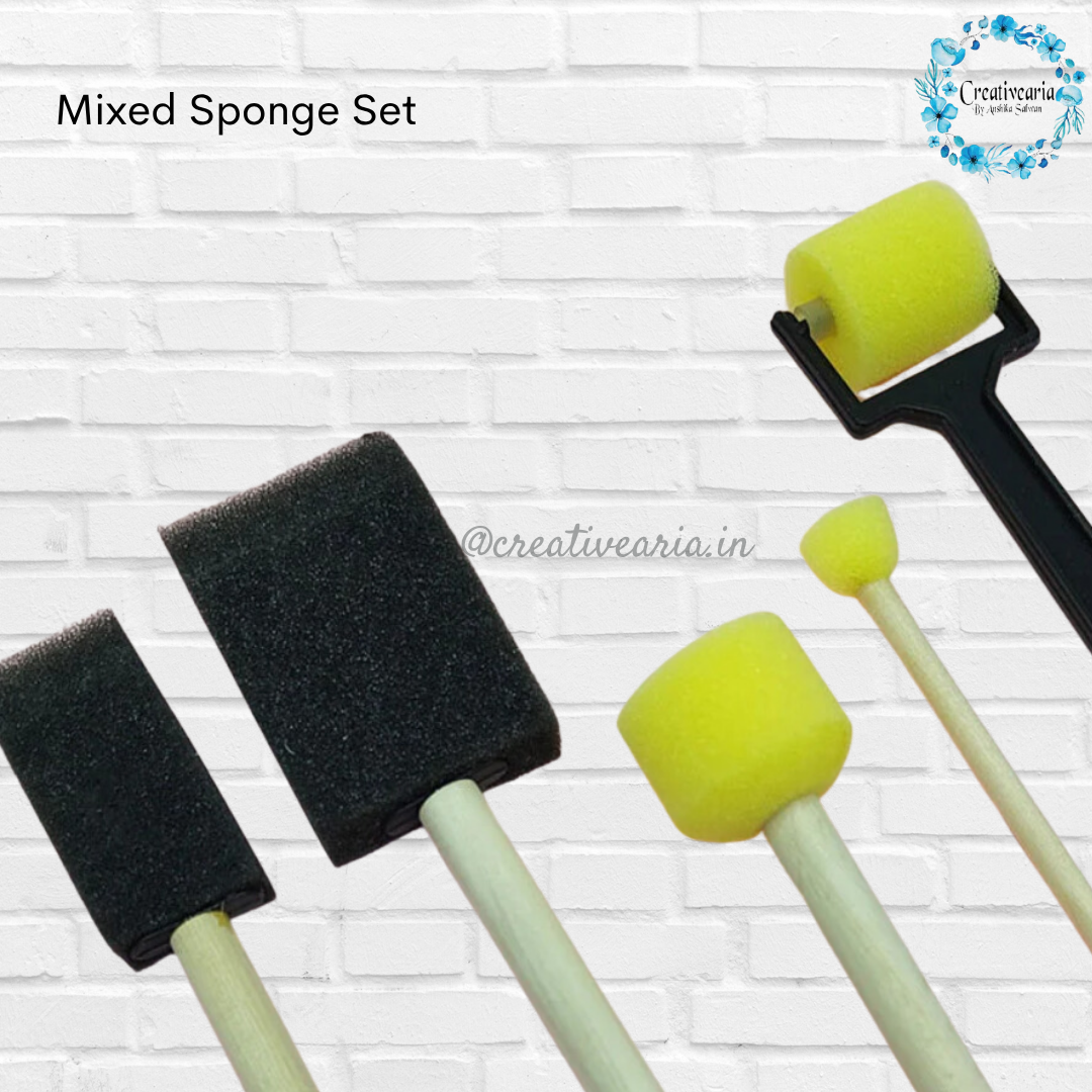 5pc Mixed Sponge Brush Set