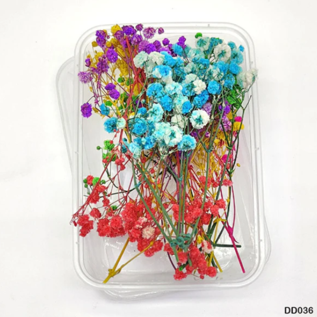 Dry Baby Breath Flower Box - Mix Colour