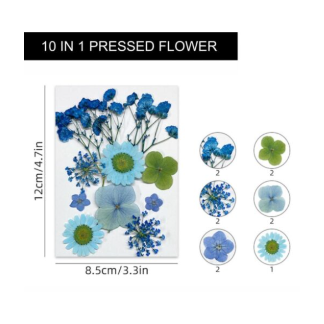 Dry Flower Sheet (VCFL173)