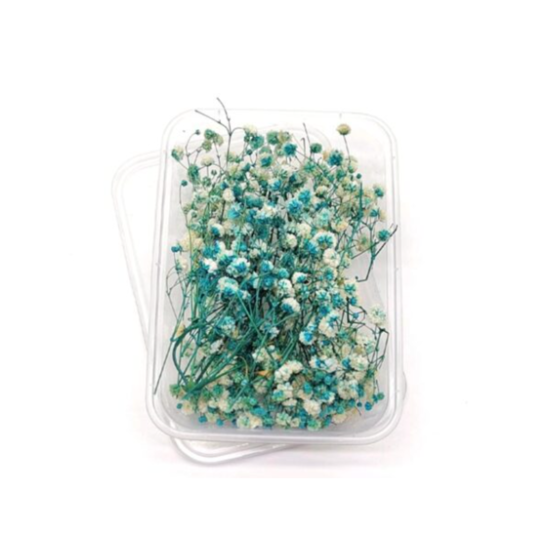 Baby Breath Dry Flower Box (VC20592)