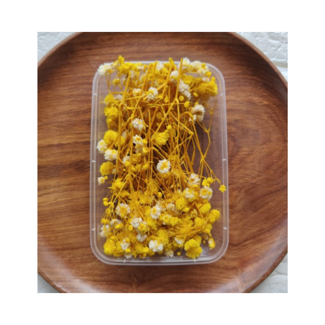 Dry Flower Box VC028