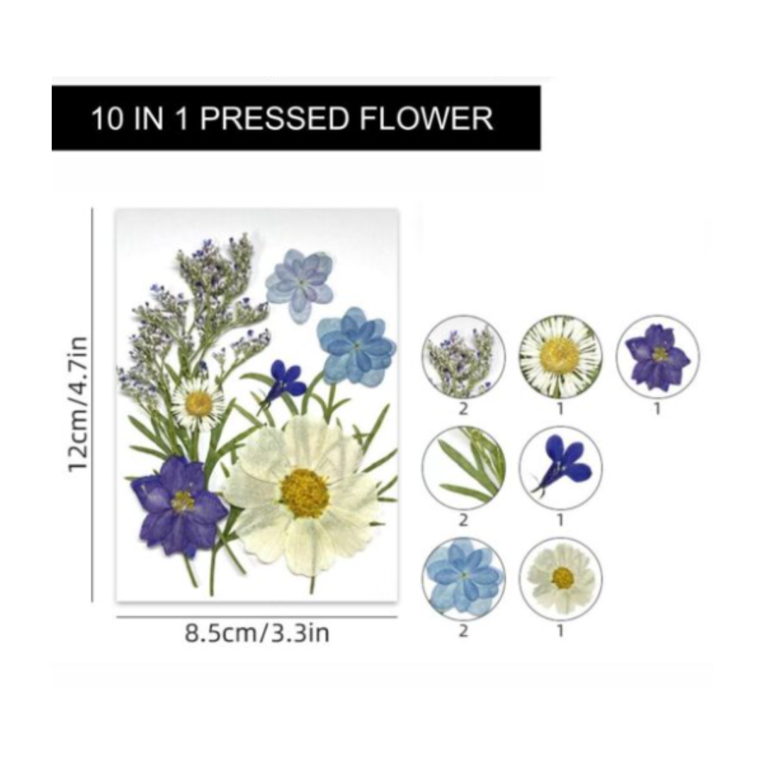 Dry Flower Sheet (VCFL175)