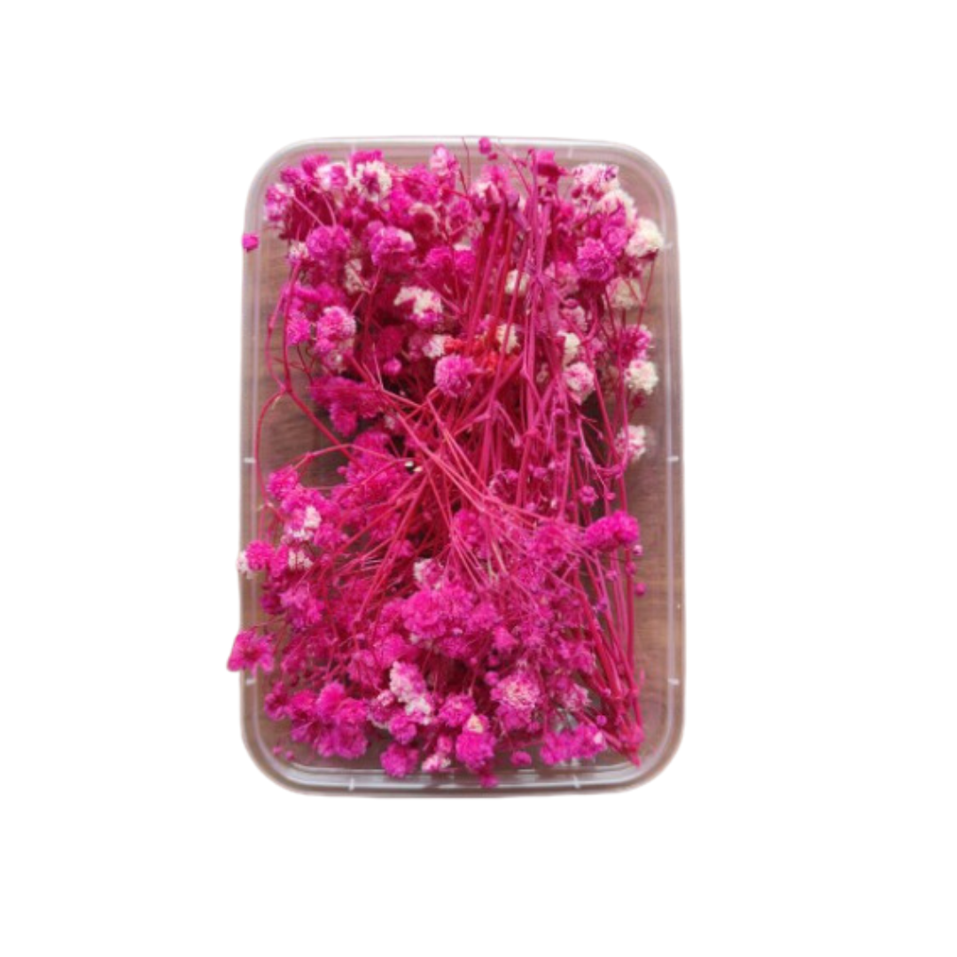 Dry Flower Box VC031