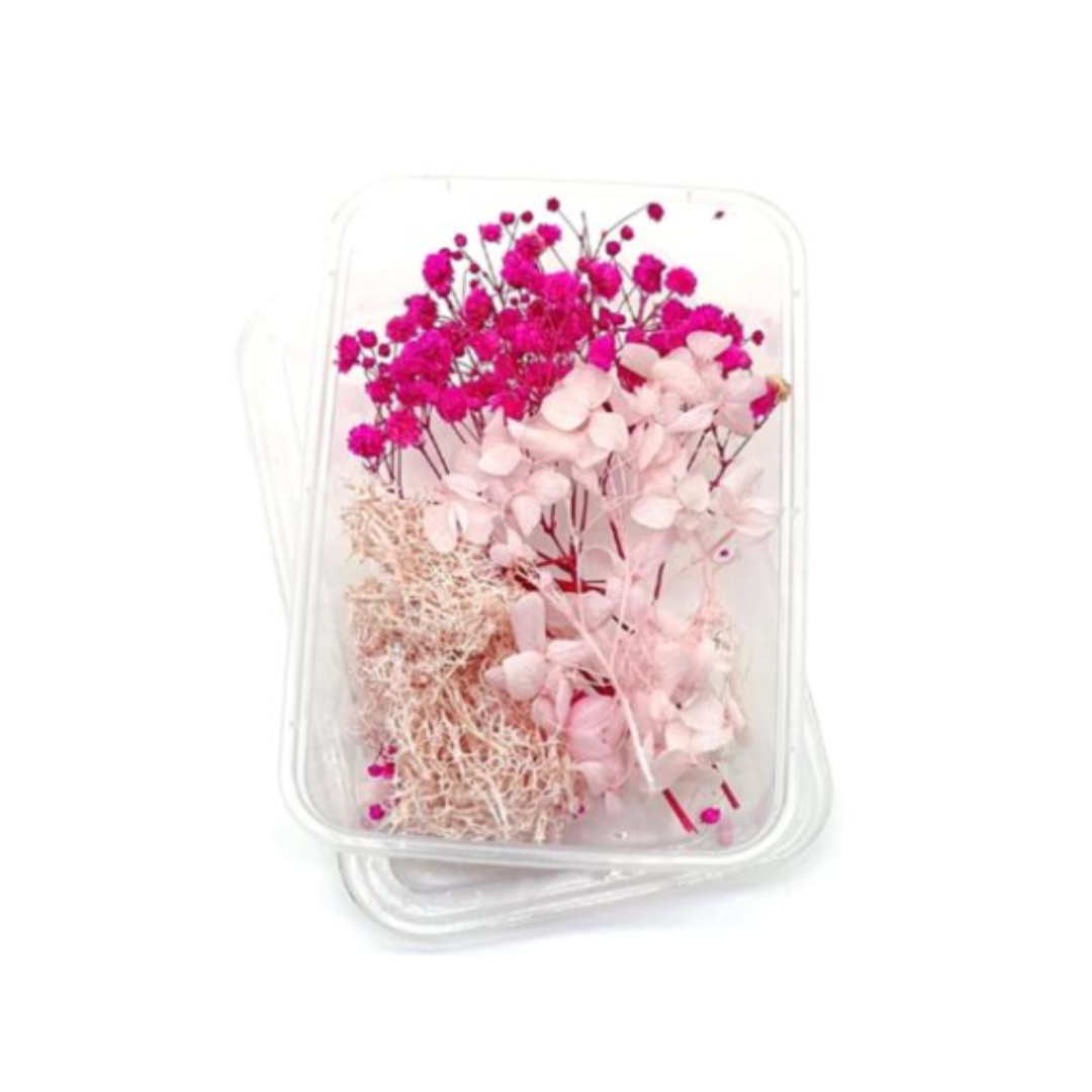 Special Imported Dry Flower Box