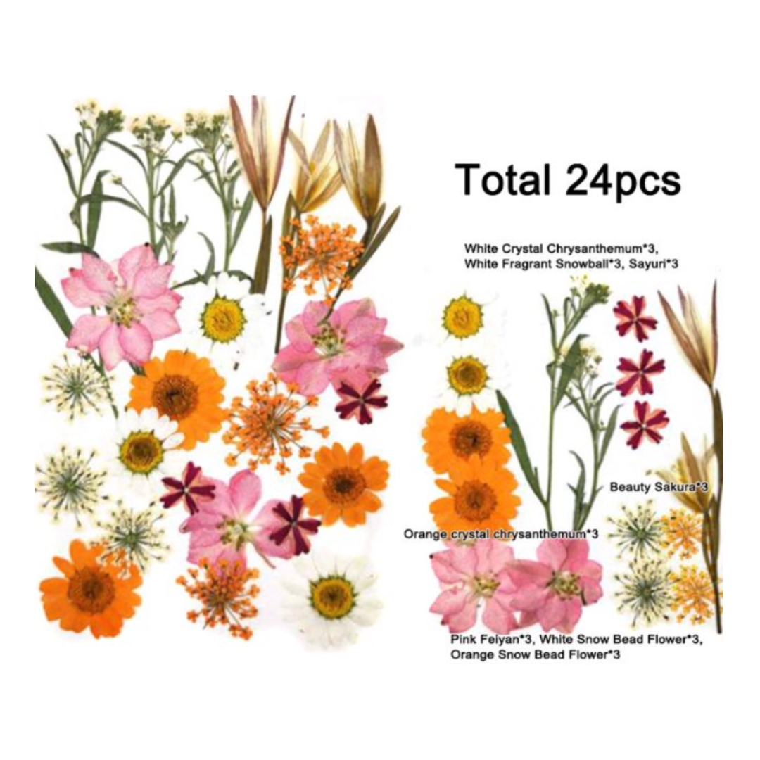 Dry Flower Sheet DF767