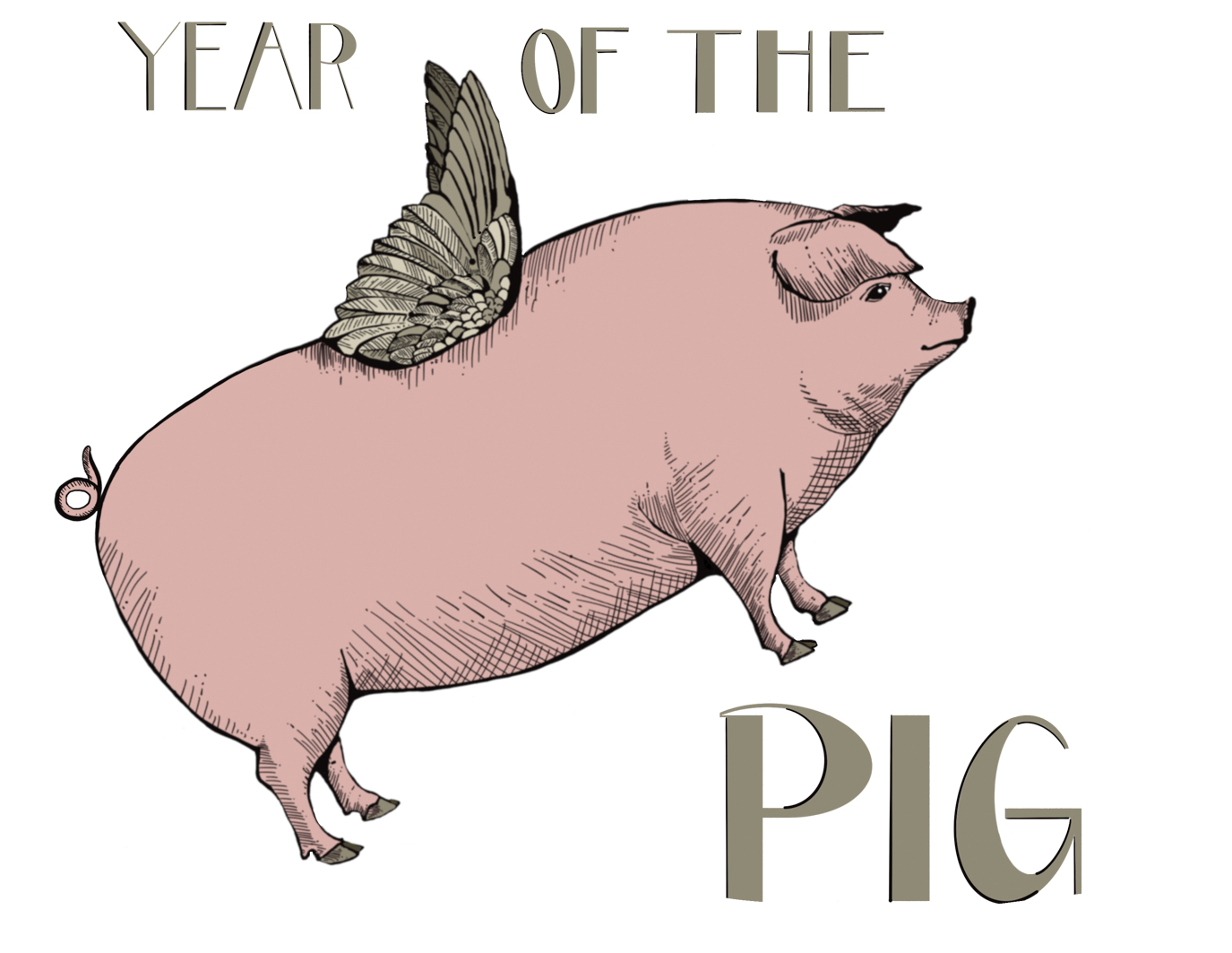 Year of the Pig