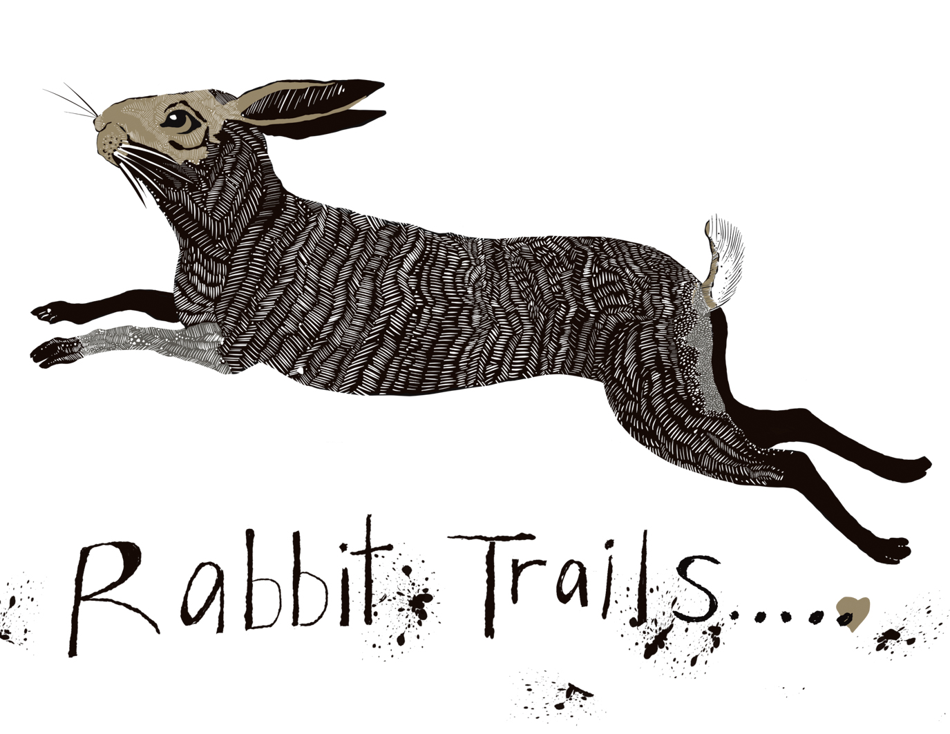 Rabbit Trails 