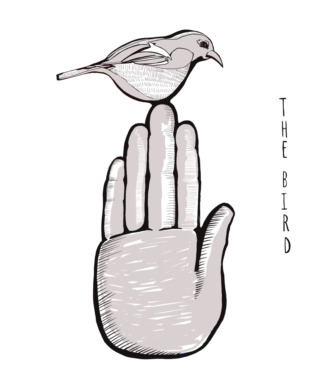 The Bird