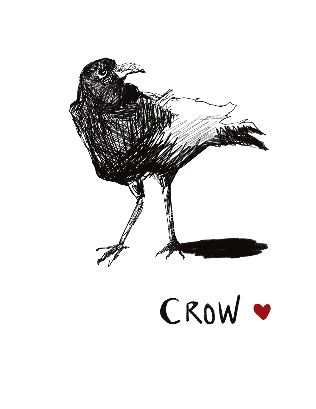 Crow 