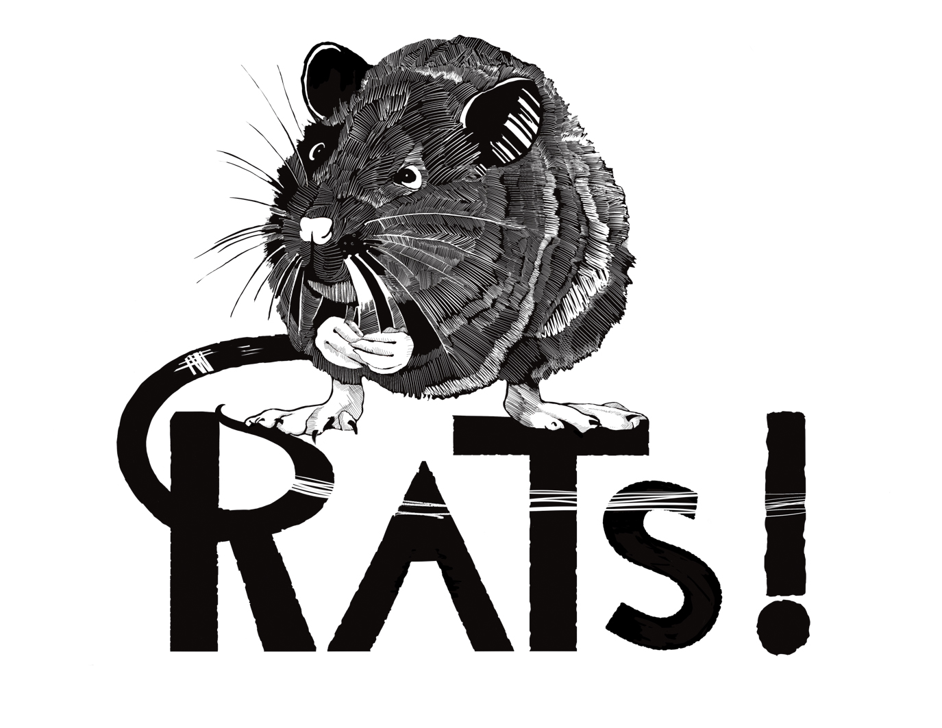 Rats! 