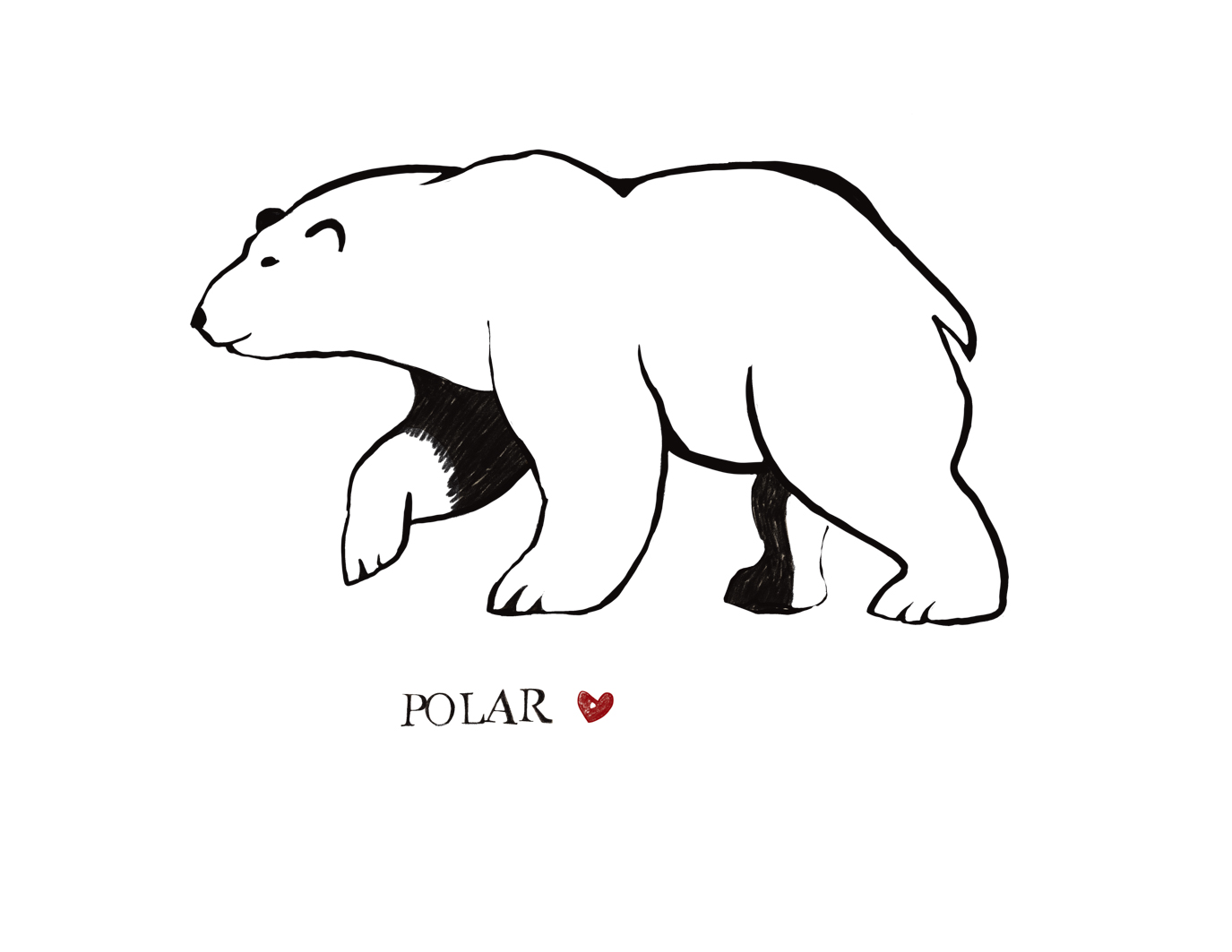 Polar 