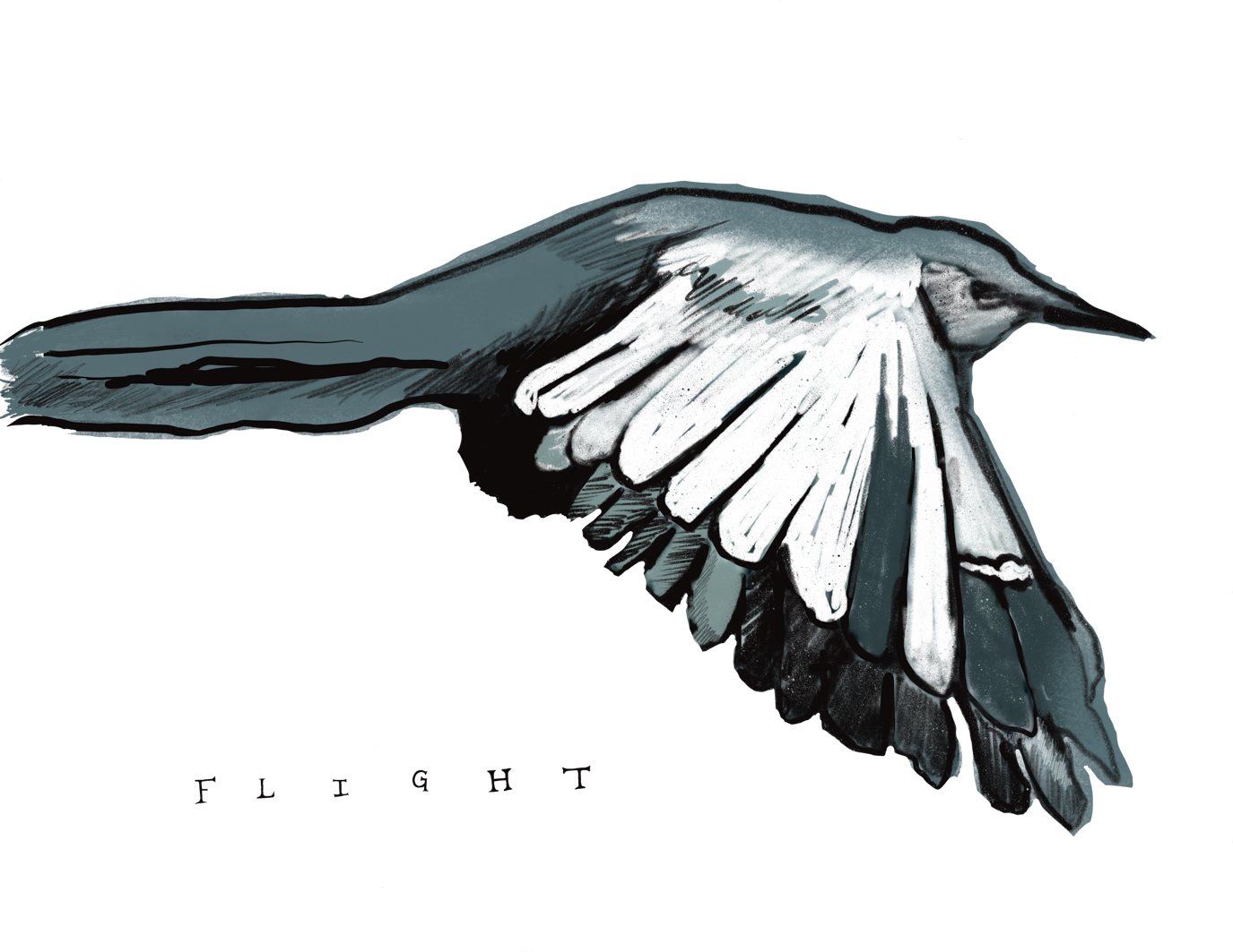 Flight 