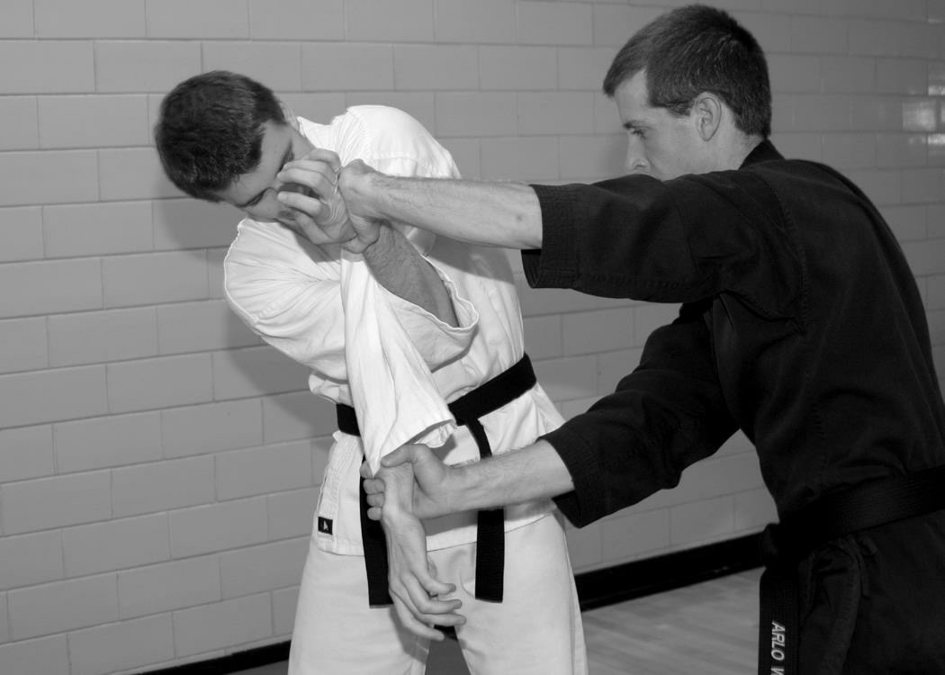 One-Hour Private Lesson with Master Arlo Welty